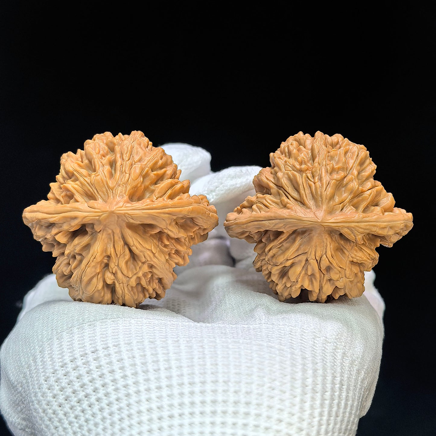 "Peach Heart Xiayun Ridge" Taoxin Xiayunling XYL-1505C Low-Profile Wenwan Walnuts Pair | 43.0mm x 41.0mm | XYL-1505C