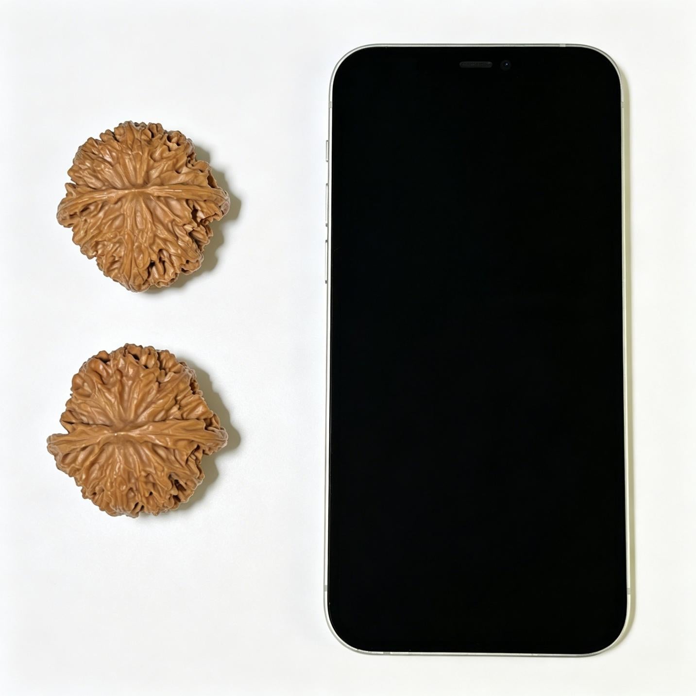 "Apple Garden" Pingguoyuan Wenwan Walnuts (Pair) | 40.0mm x 40.0mm | Stock ID: PGY-1105
