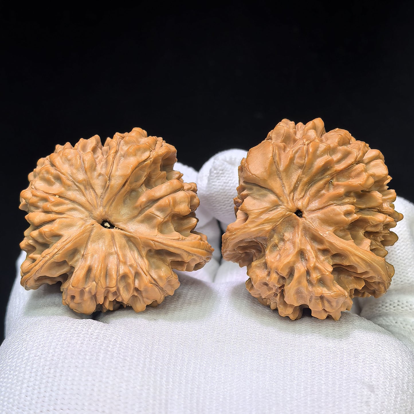 The Serene "Kylin-Texture Seated Buddha" Qilinwen Zuofo Premium Selection | 42.0mm x 40.0mm | QLWZF-402E