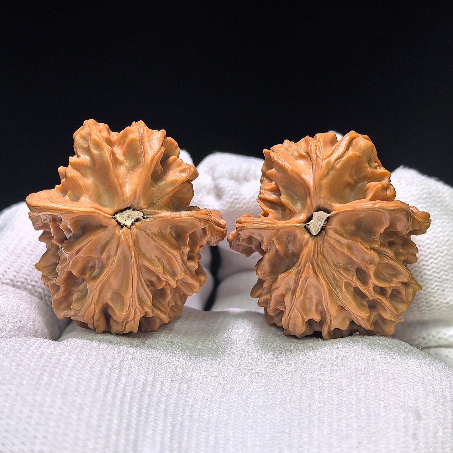 The Whimsical "Mandarin Duck Little Bird" Yuanyang Xiaoniao Pocket Singularity | 35.0mm x 35.0mm | YXXL-405E