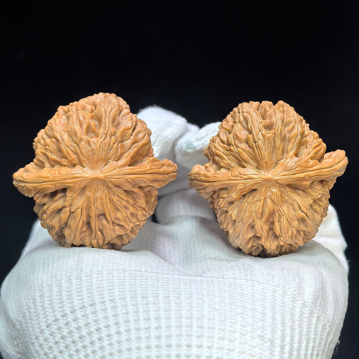 "Spherical White Lion" Qiuxing Baishizi Low-Profile Wenwan Walnuts Pair | 41.0mm x 41.0mm | QXBSJ-1502C