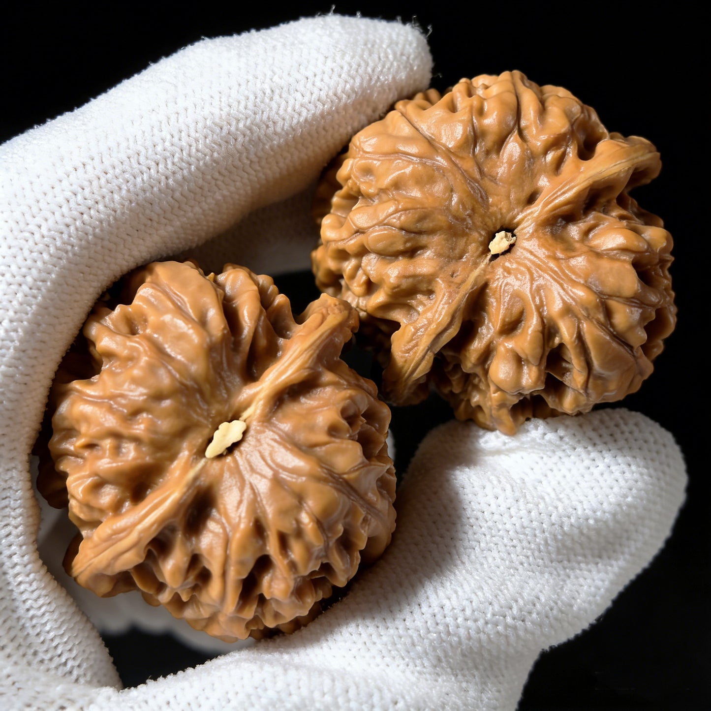 The "Golden Ingot" (Jin Ding Yuan Bao) Pair | 47.0mm x 47.0mm | JDYB-01