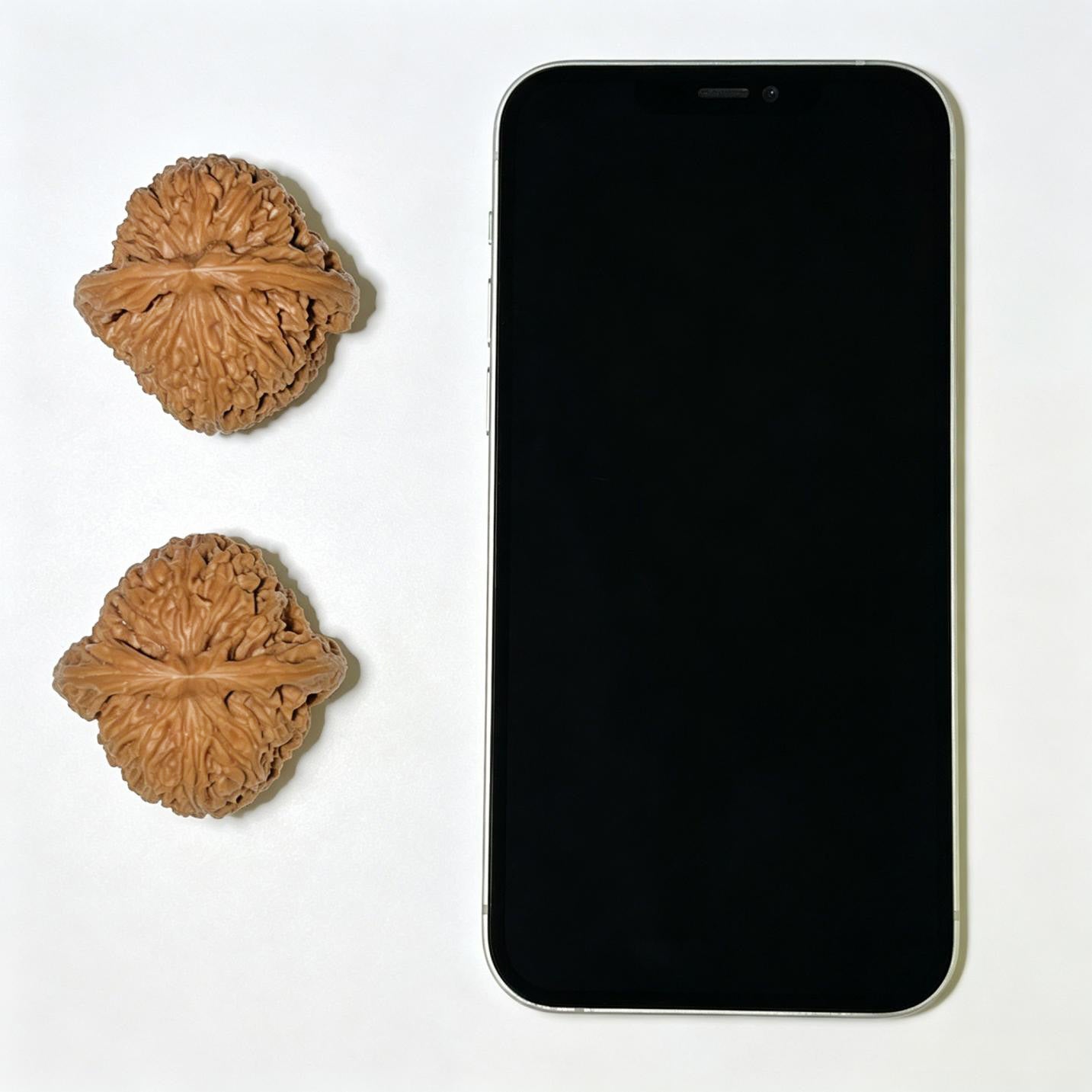"Nanjiangshi" Nanjiangshi Wenwan Walnuts (Pair) | 43.0mm x 43.0mm | Stock ID: NJS-1107