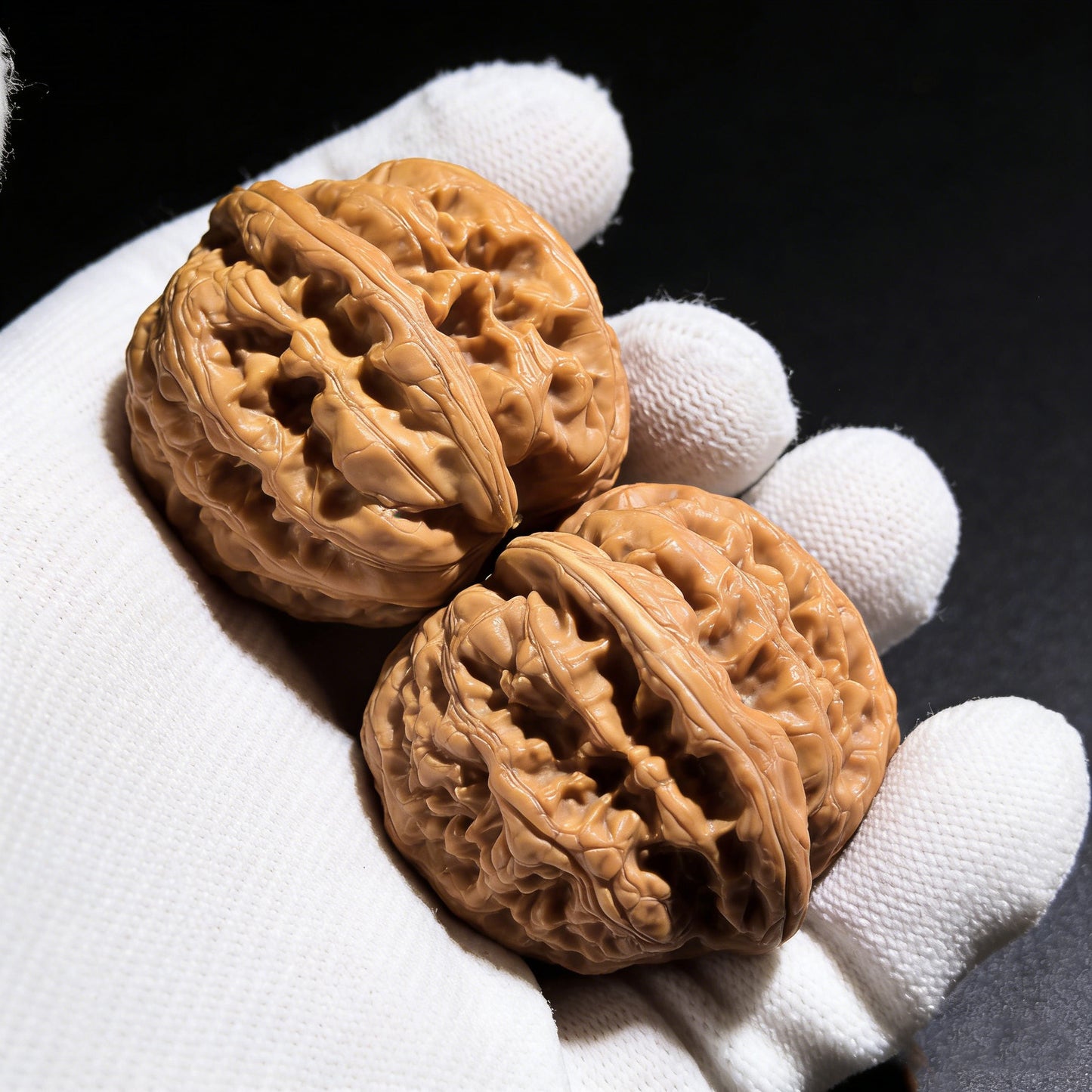 The "Tendon Vein" (Cujin) Pair | 42.0mm | CJ-01