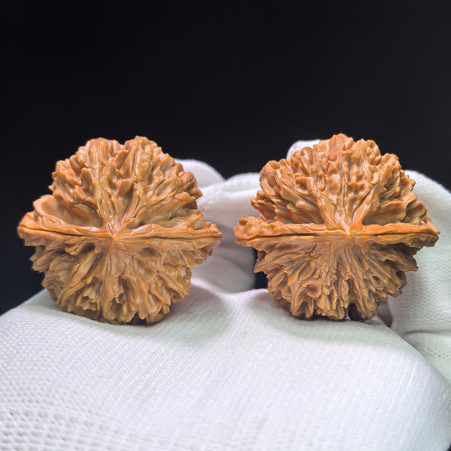 The Spectacular "Denglong Lantern" Lion Head Pocket Masterpiece | 40.0mm x 37.0mm | DL-1401