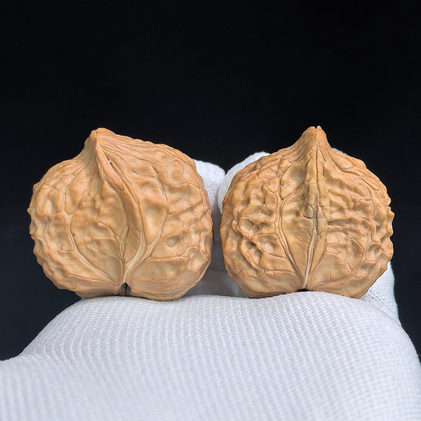 "Tortoise-Shell Hawk-Beak Half-Wall" (Gui Jia Wen Ying Zui Ban Bi) Scholar Walnuts Pair | Same-Fruit Biological Twin Pair | 26.0mm x 35.0mm | Miniature Pocket Format (Shou Nian) | Stock ID: GJW-SY1B7