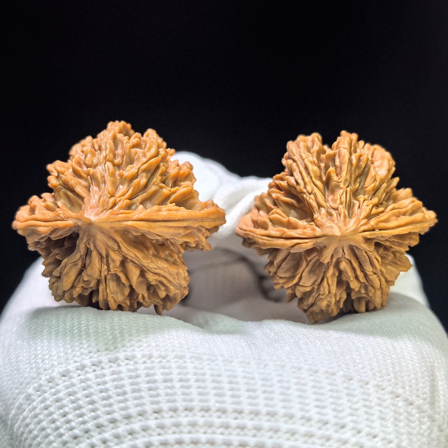 "Reaching Heaven Eight" Tongtianba TTB-1601 Classic Wenwan Walnuts Pair | 36.0mm x 35.0mm | TTB-1601