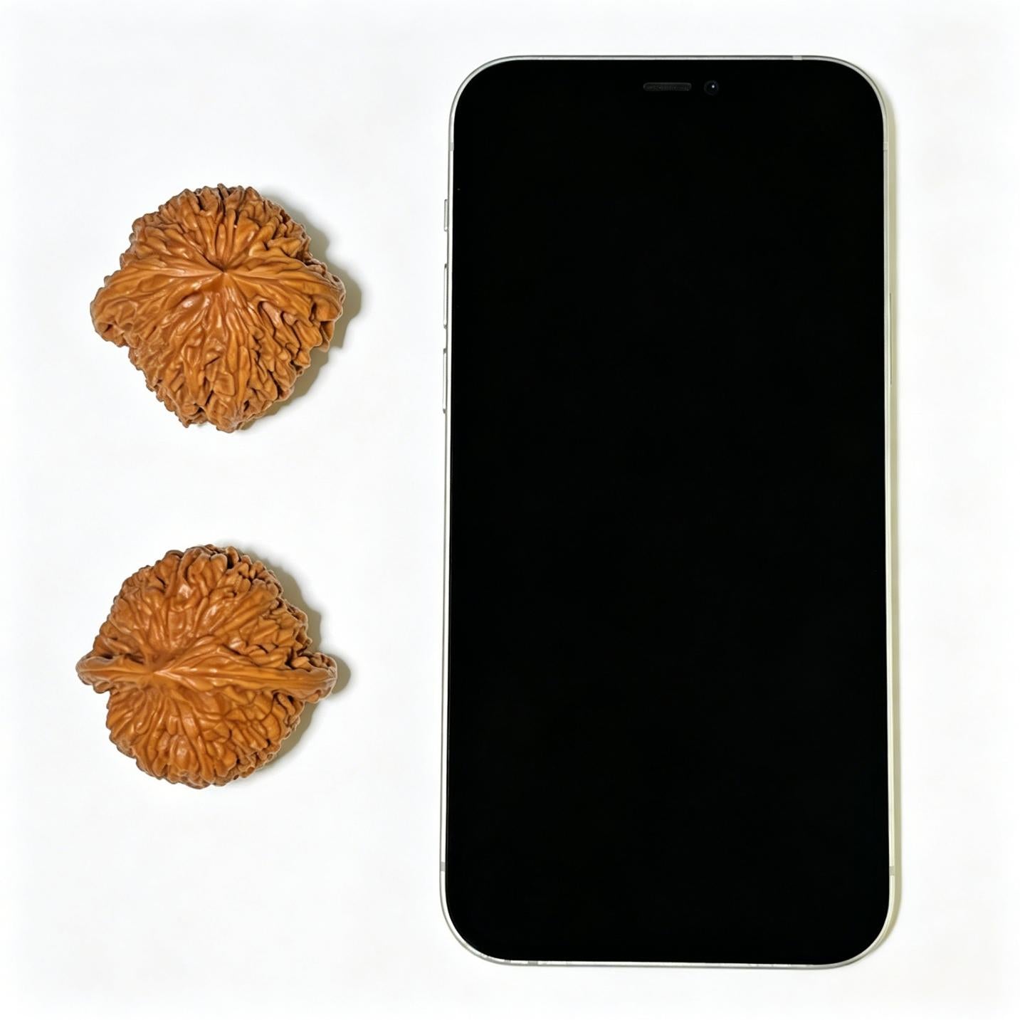 "Nanjiangshi Lionhead" Nanjiangshi NJS-1110 Low-Profile Wenwan Walnuts Pair | 39.0mm x 38.0mm | NJS-1110