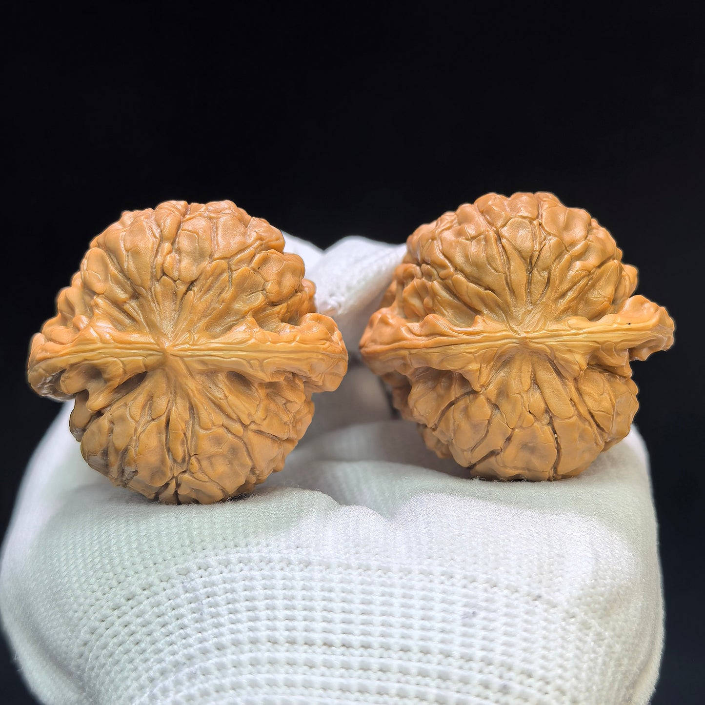 "Butterfly Oracle Bone Script" Hudie Jiaguwen HDJGW-1601 Low-Profile Wenwan Walnuts Pair | 40.0mm x 38.0mm | HDJGW-1601