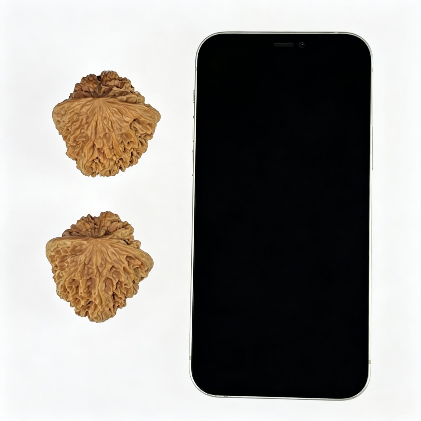 Da Ye Niu (Giant Wild Bison) Scholar Walnuts Pair | 42.0mm x 40.0mm | Stock ID: YN-1107