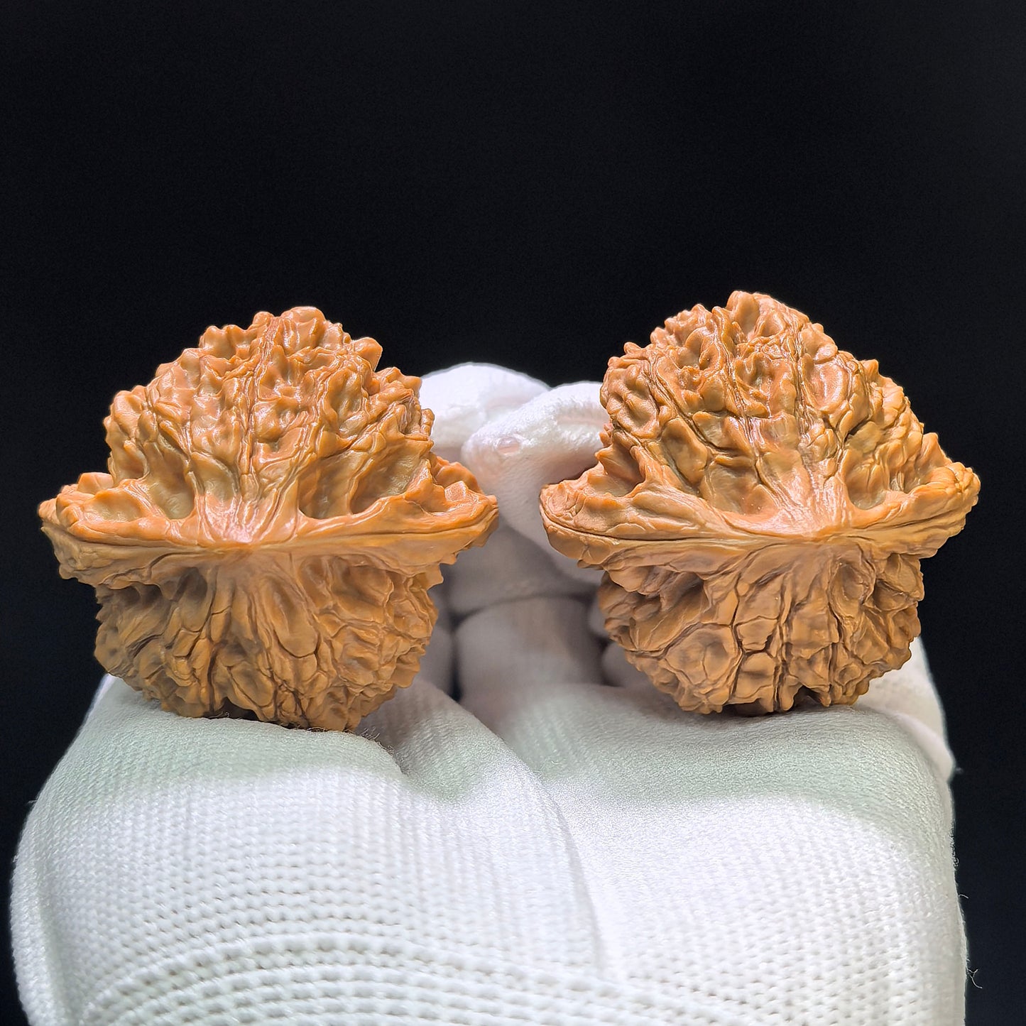 "Wild Cultivar" Yesheng Wenwan Walnuts (Pair) | 41.0mm x 41.0mm | Stock ID: YS-1102