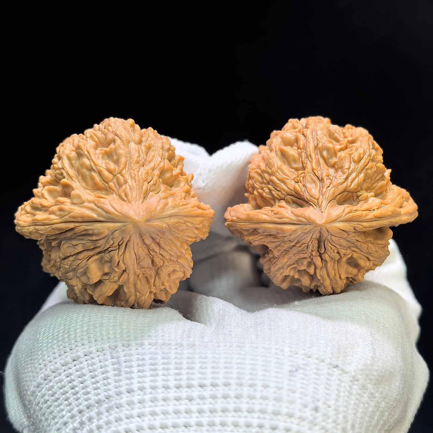 "Dagu Stone" Dagushi DGS-1602 Classic Wenwan Walnuts Pair | 40.0mm x 40.0mm | DGS-1602