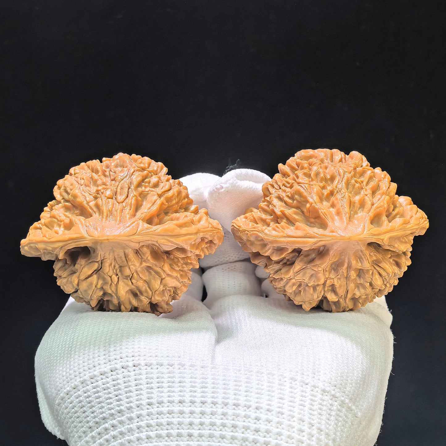 "Large Official Hat Peach Heart Concave Base" Daguanmao Taoxin Aodi Wenwan Walnuts Pair | 50.0mm x 43.0mm | ADDGM-1101
