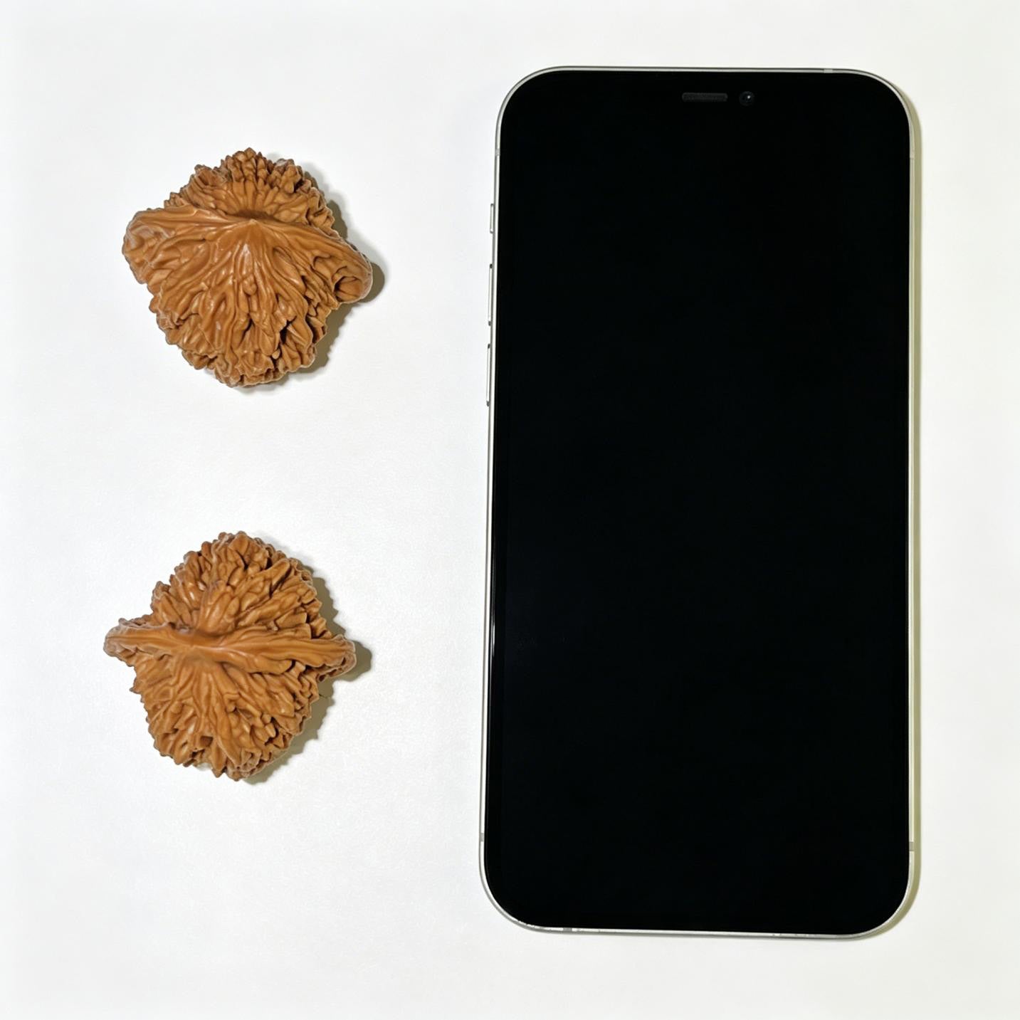"Wheat Ear Tiger Head" Maisui Hutou Wenwan Walnuts Pair | 41.0mm x 39.0mm | MSHT-1104