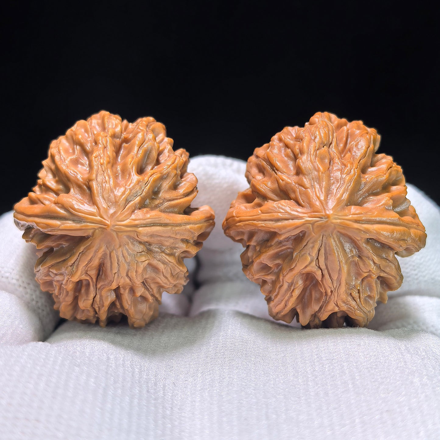 The Petit "Coiling Dragon" (Pan Long Wen) Full-Bellied Pair | 33.0mm x 35.0mm | PLW-705