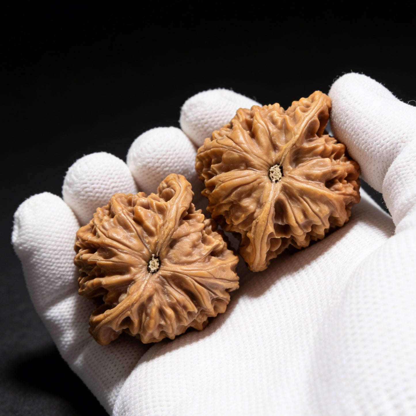 The "Coiled Dragon" (Pan Long Wen) Pair | 32.0mm x 32.0mm | PLW-01