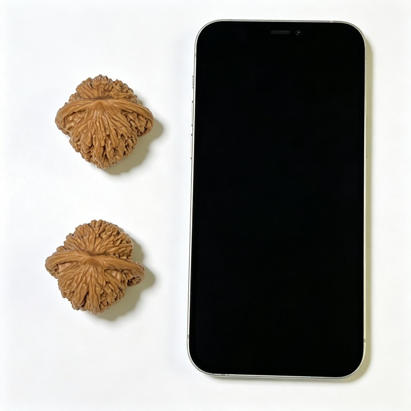 "Wheat Ear Tiger Head" Maisui Hutou Wenwan Walnuts Pair | 40.0mm x 38.0mm | MSHT-1106