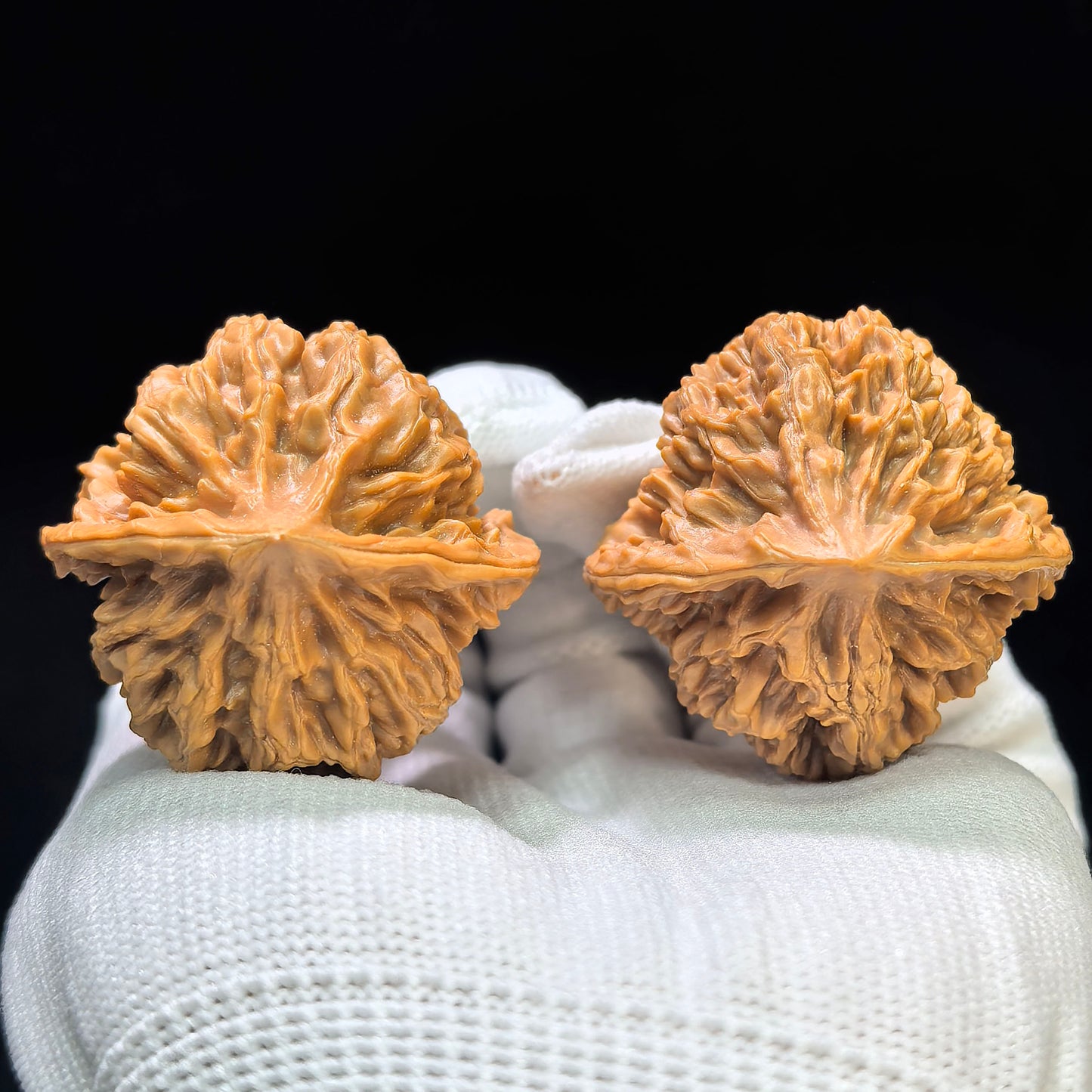 "Dragon Scale" Longlin LL-1601 Classic Wenwan Walnuts Pair | 40.0mm x 39.0mm | LL-1601