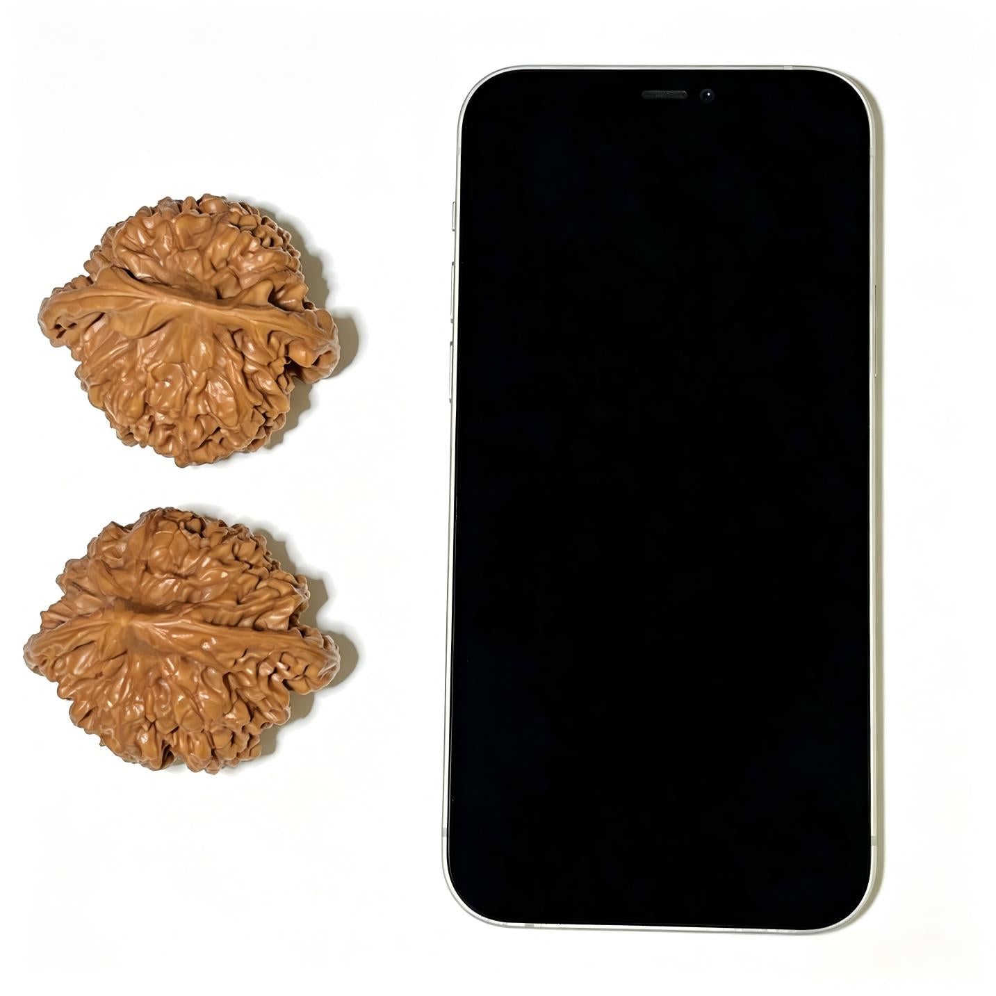 Guanmao (Official Hat) Scholar Walnuts Pair | Grand 51.0mm x 45.0mm | Stock ID: DGM-1101