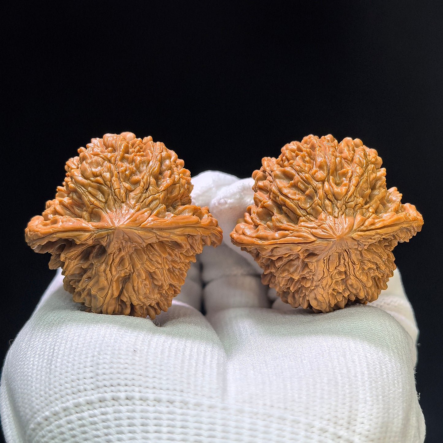 "Starry Sky" Mantianxing Wenwan Walnuts Pair | 42.0mm x 40.0mm | MTX-1106