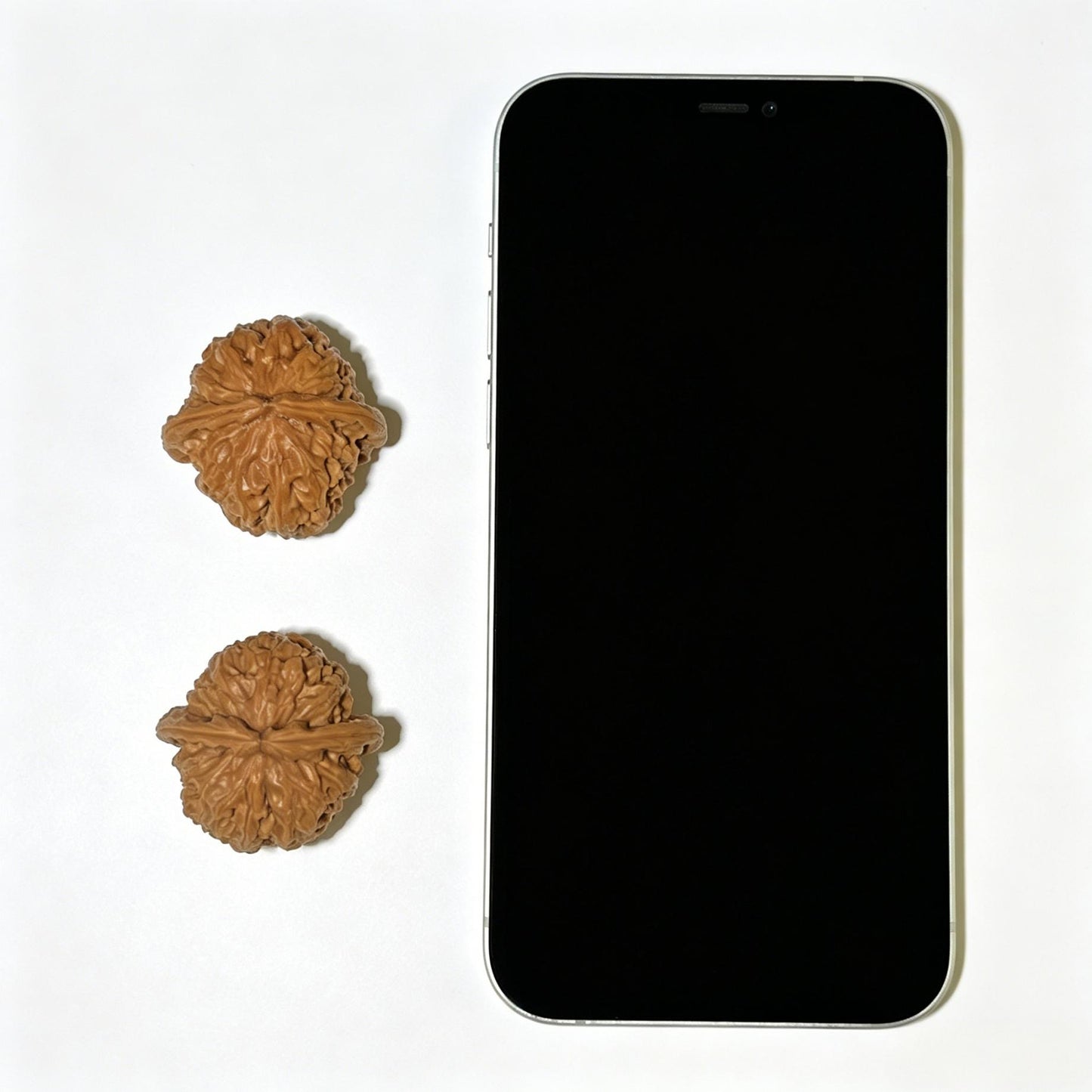 Triangle White Lion Head (Sanjiao Bai Shi Zi) Scholar Walnuts Pair | 41.0mm x 39.0mm | Collector Grade (Lightly Fine-Tuned) | Stock ID: SJBSZ-1101