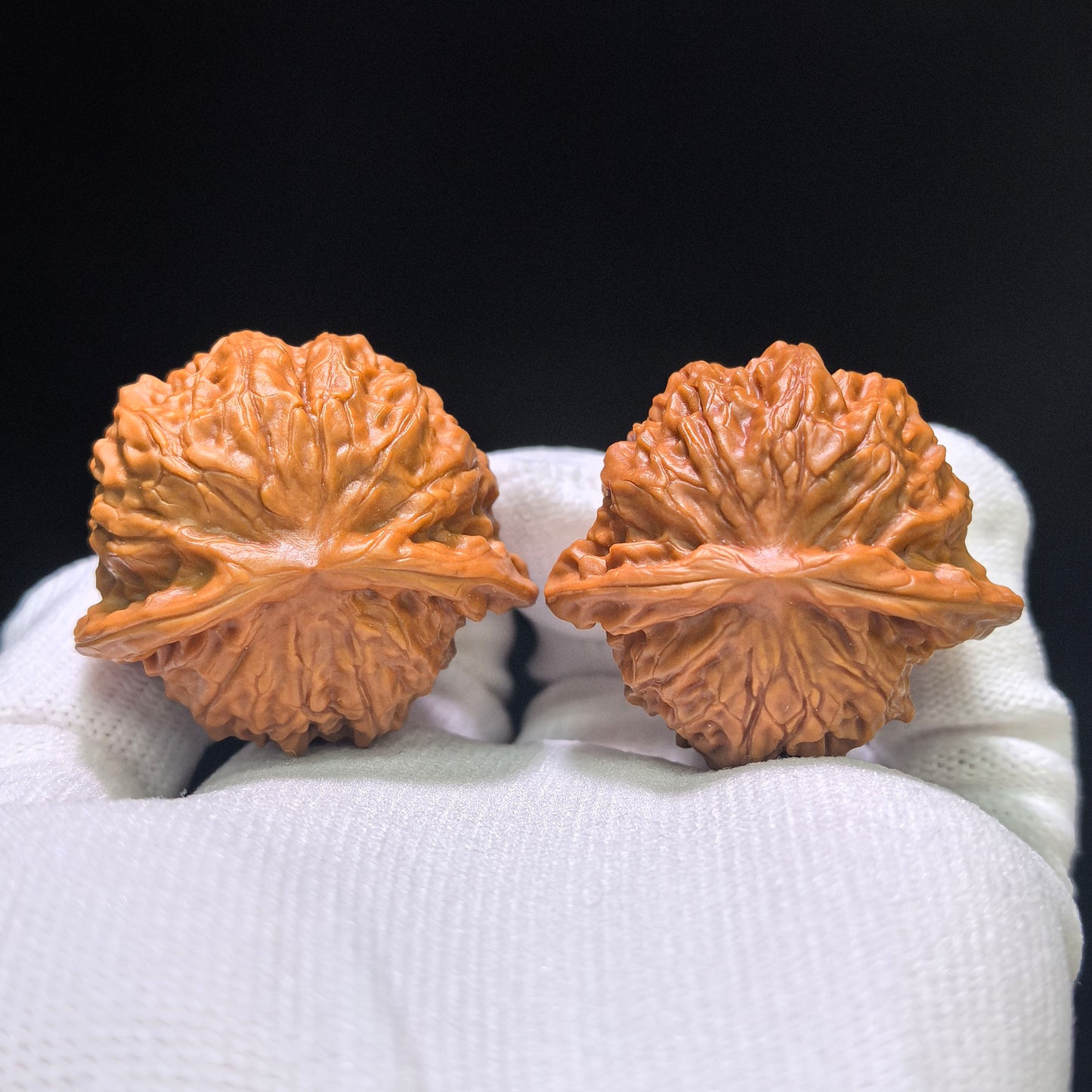 "Porcelain Doll Turtle Back" Cwwwgb-CG211E Wenwan Walnuts Pair | 40.0mm x 37.0mm | CWWWGB-CG211E