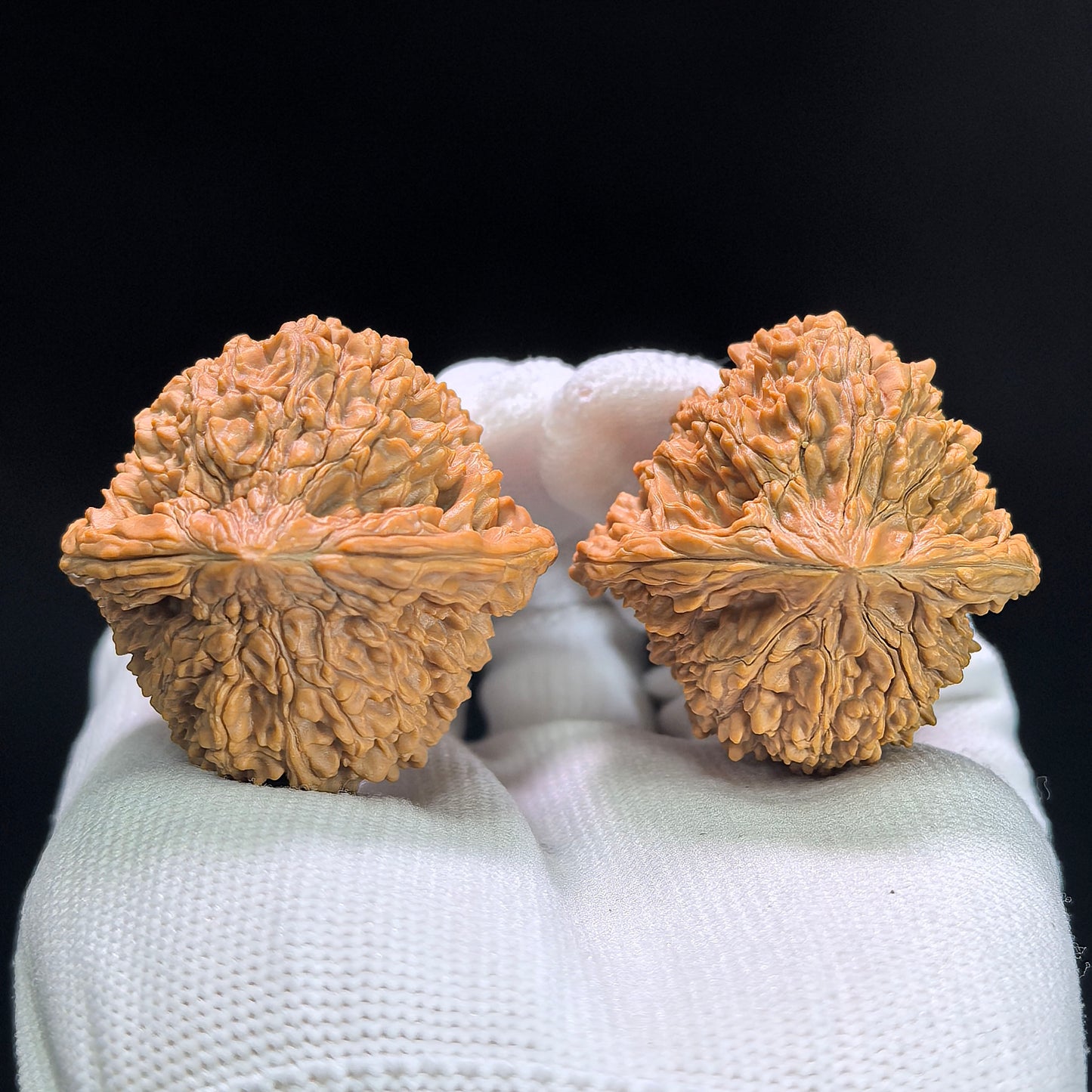"Starry Sky" Mantianxing Wenwan Walnuts (Pair) | 40.0mm x 40.0mm | Stock ID: MTX-1401