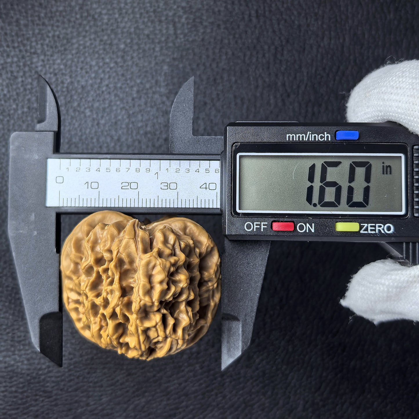 The "Hundred Longevity Lion Head" (Bai Shou Shi Zi Tou) Pair | 41.0mm x 38.0mm | BSSZT-03