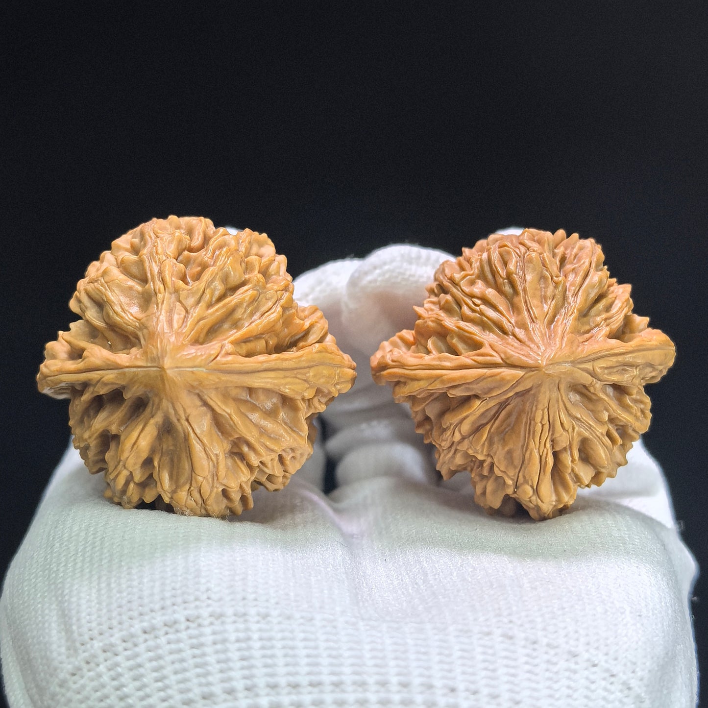 "Beijing Chicken Heart" Beijing Jixin BJJX-1403 Classic Wenwan Walnuts Pair | 41.0mm x 39.0mm | BJJX-1403