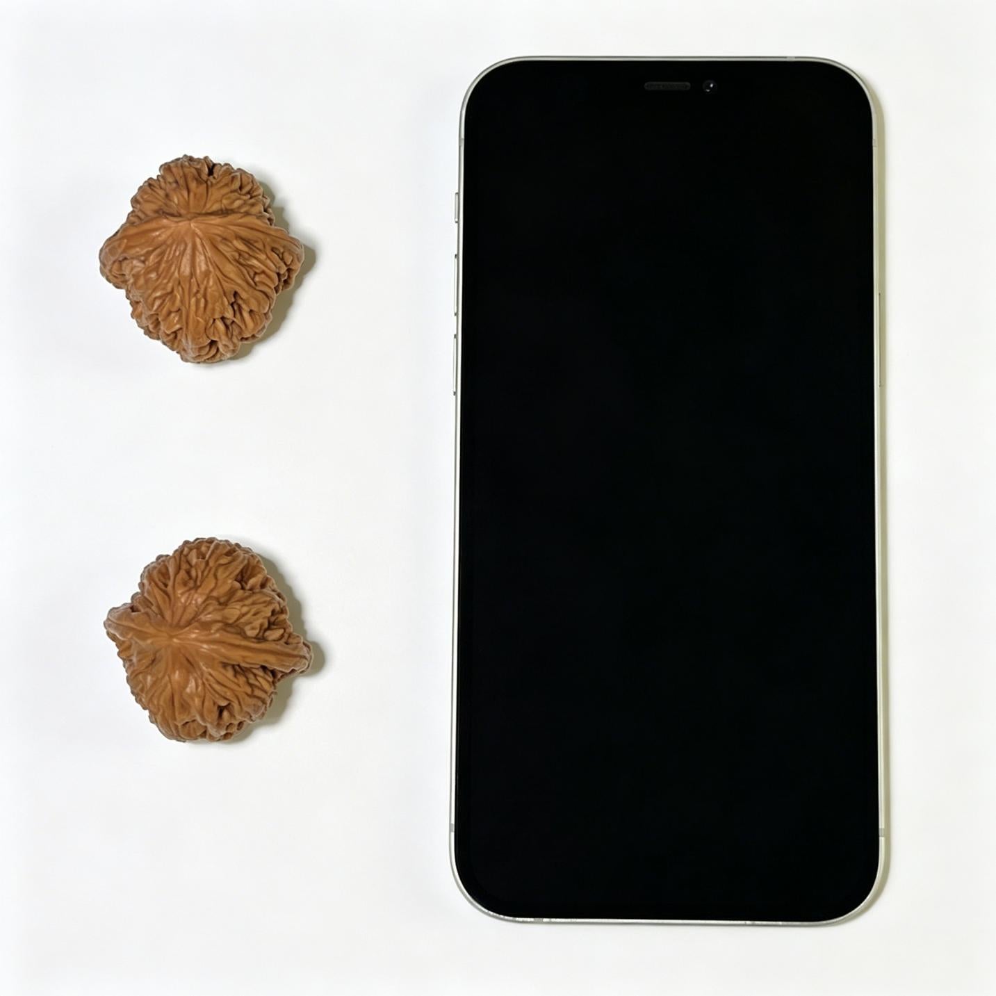 "Wheat Ear Tiger Head Pocket Size" Maisui Hutou Wenwan Walnuts Pair | 33.0mm x 33.0mm | MSHT-1105