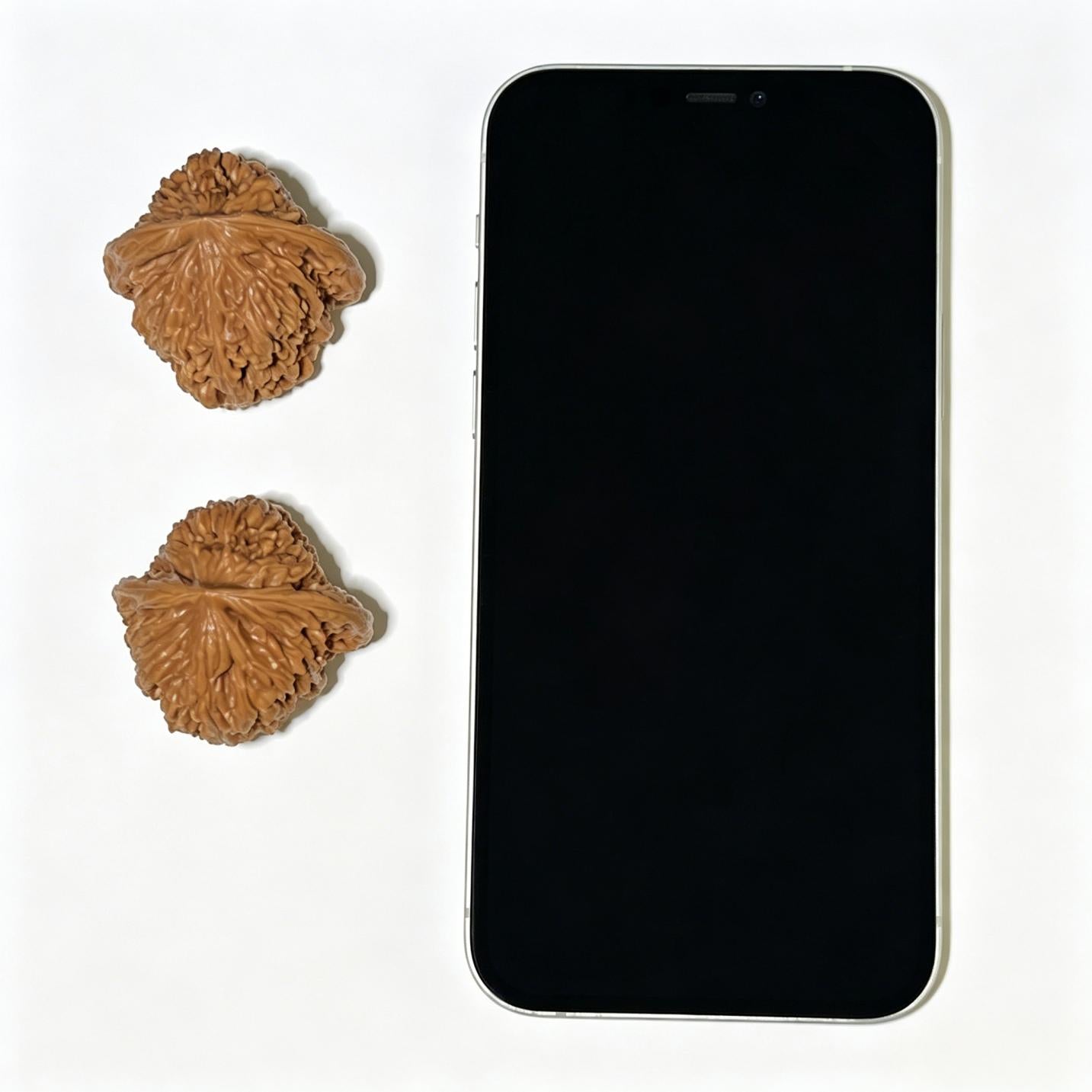 "Nanjiangshi Lionhead" Nanjiangshi NJS-1111 Low-Profile Wenwan Walnuts Pair | 39.0mm x 37.0mm | NJS-1111