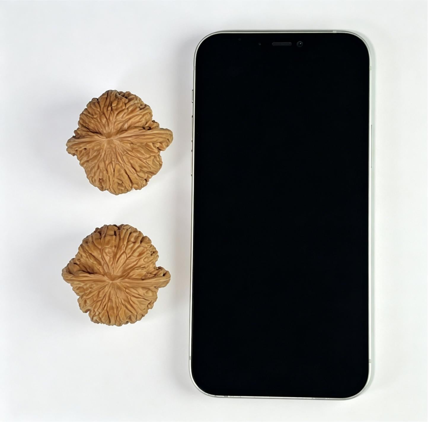 "Millstone" Mopan Wenwan Walnuts Pair | 42.0mm x 41.0mm | MP-1002