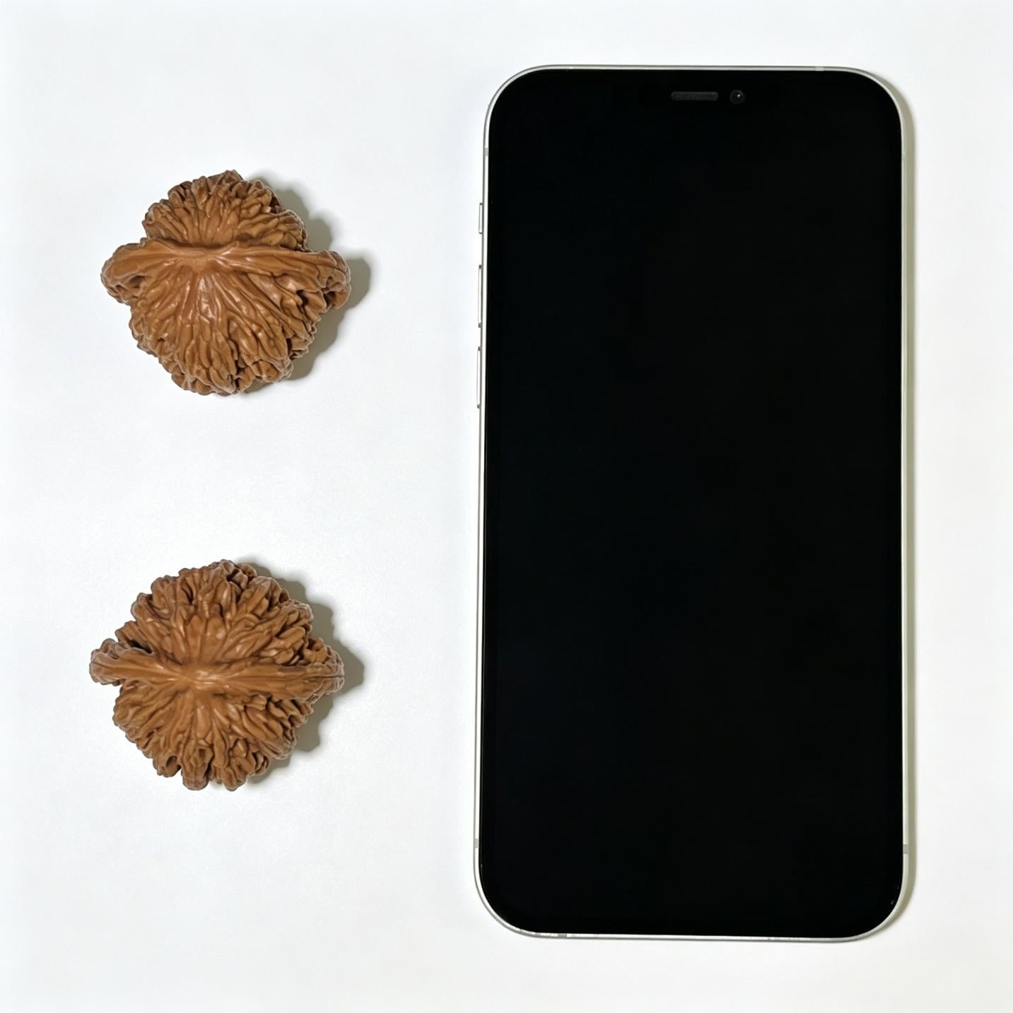 "Wheat Ear Tiger Head" Maisui Hutou Wenwan Walnuts (Pair) | 41.0mm x 37.0mm | Stock ID: MSHT-1109