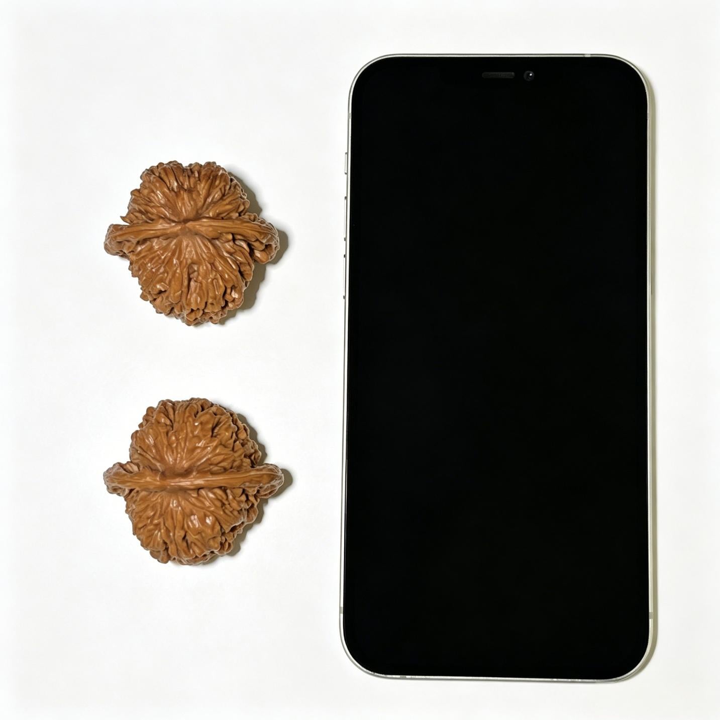 Sizuolou Scholar Walnuts Pair | 40.0mm x 38.0mm | Classic Deep-Belly Format | Stock ID: SZL-1104
