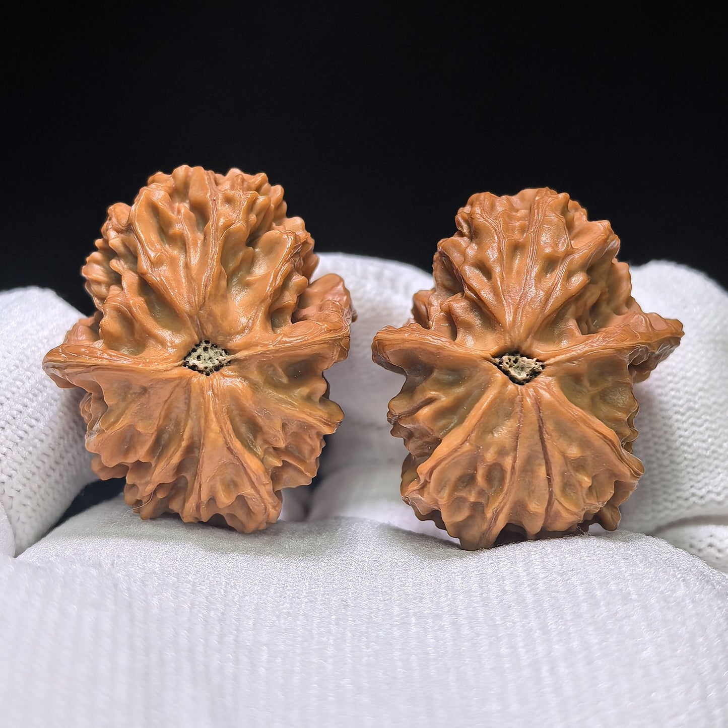 "Special Shape Little Bird" Yixing Xiaoniao Pocket Size Wenwan Walnuts Pair | 30.0mm x 37.0mm | YXXN-CG210E