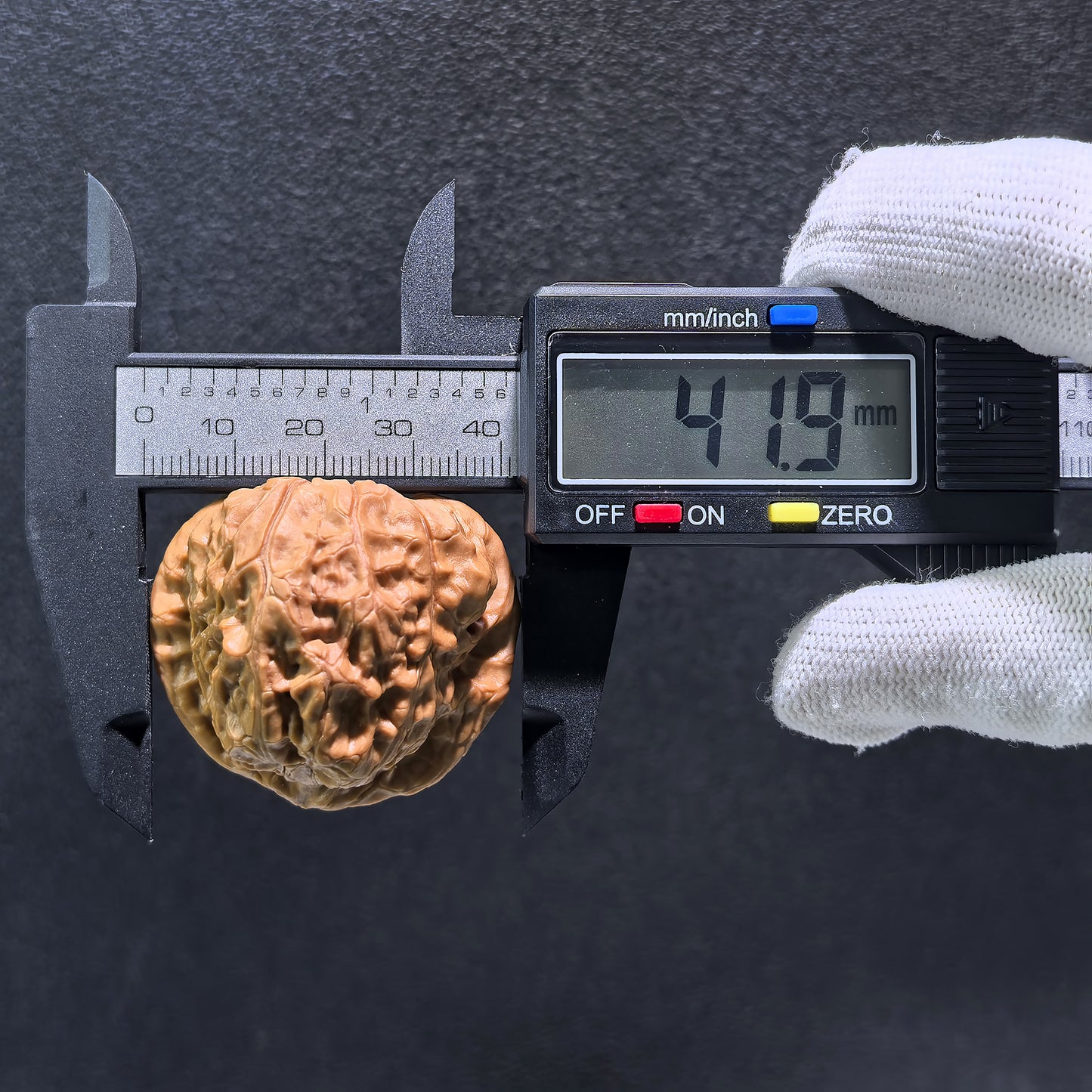 The "Pumpkin Squat" (Nan Gua Dun) Pair | 42.0mm x 42.0mm | NGD-401