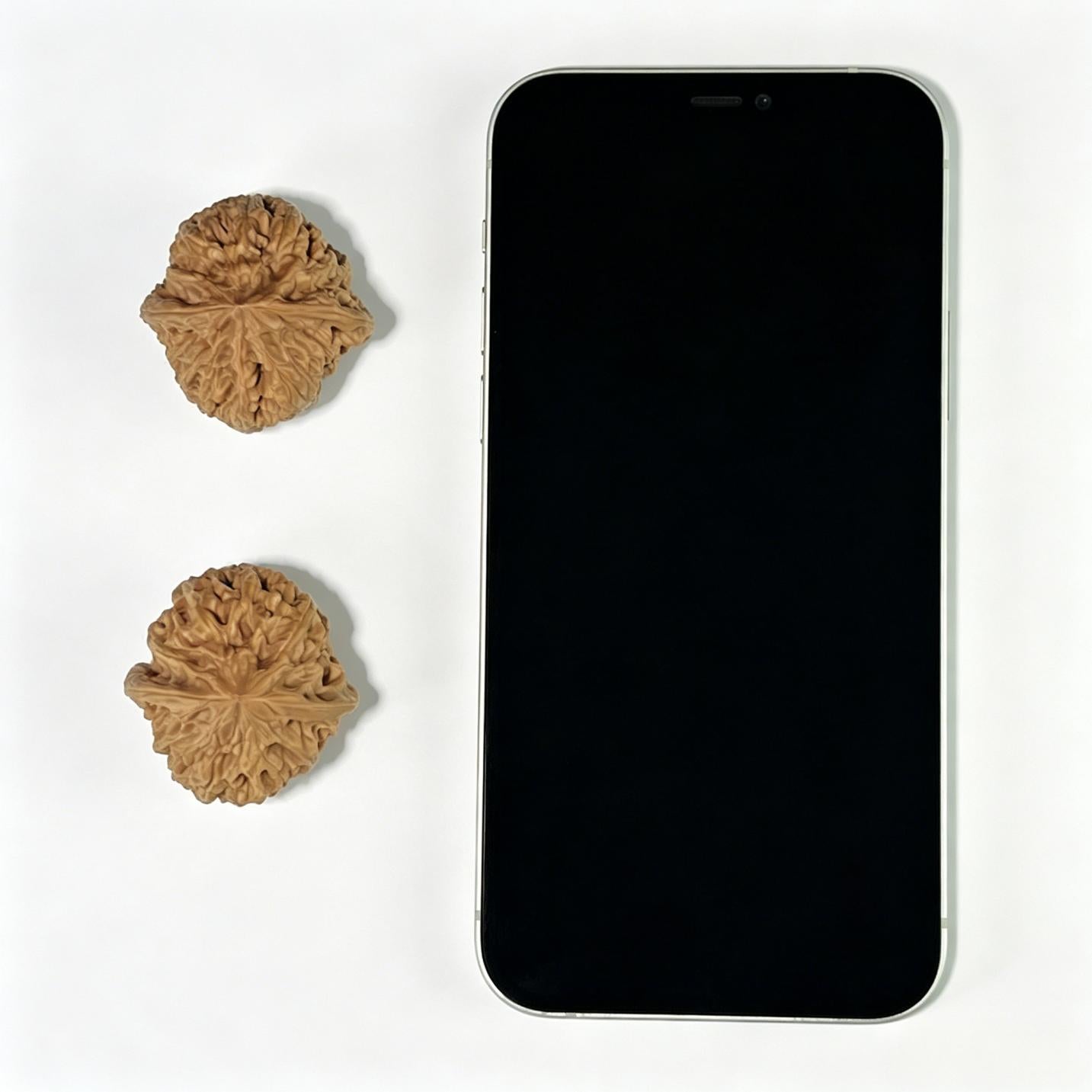 The "Wild Bison" (Ye Niu) Premium Hand-Twirling Pair | 35.0mm x 37.0mm | Compact Shou Nian Format | YN-1101