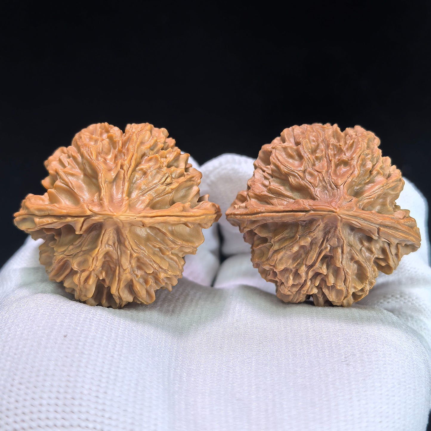 The "Lantern" (Deng Long) Pair | 42.0mm x 39.0mm | DL-601