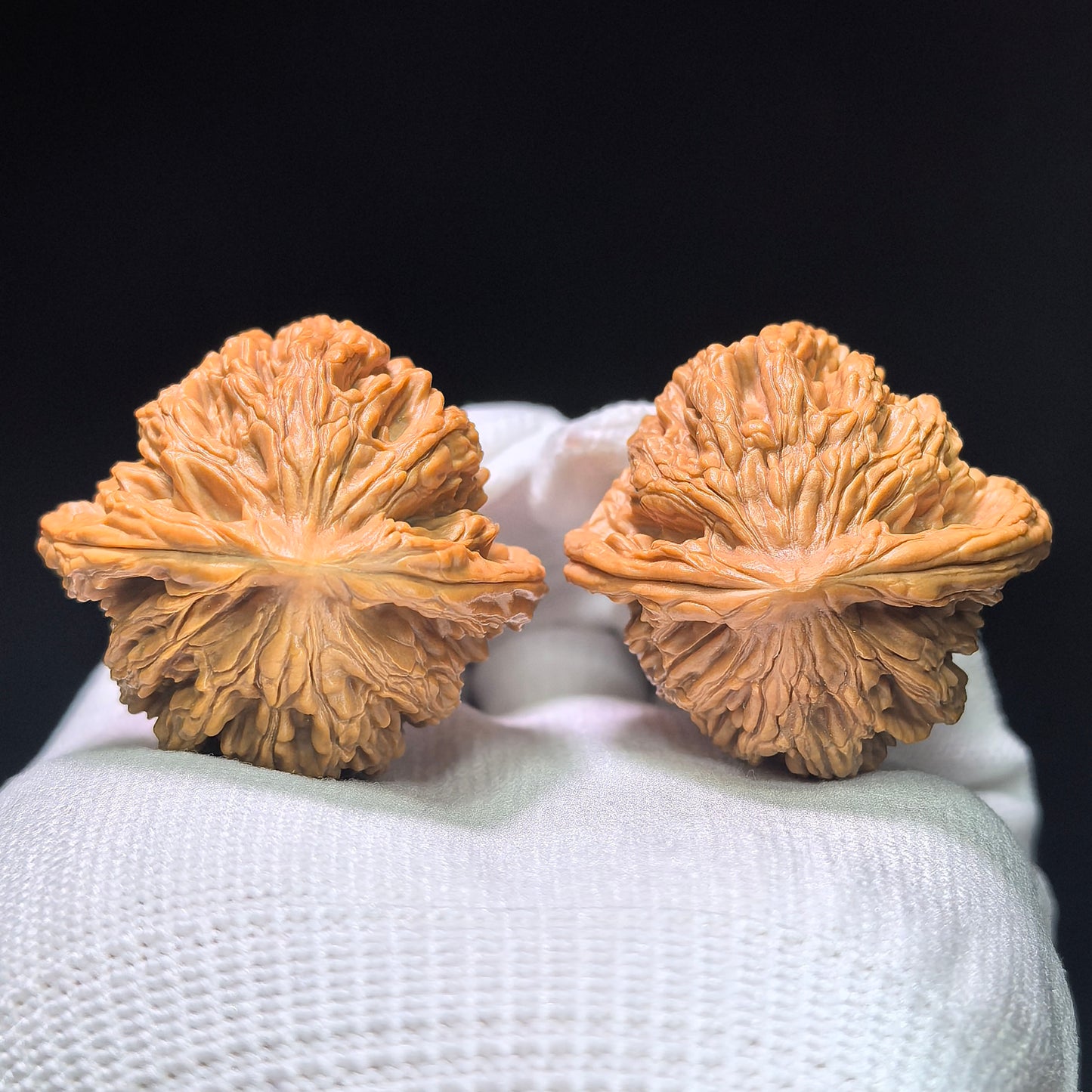 "Wheat Ear Tiger Head" Maisui Hutou MSHT-1404 Classic Wenwan Walnuts Pair | 40.0mm x 38.0mm | MSHT-1404