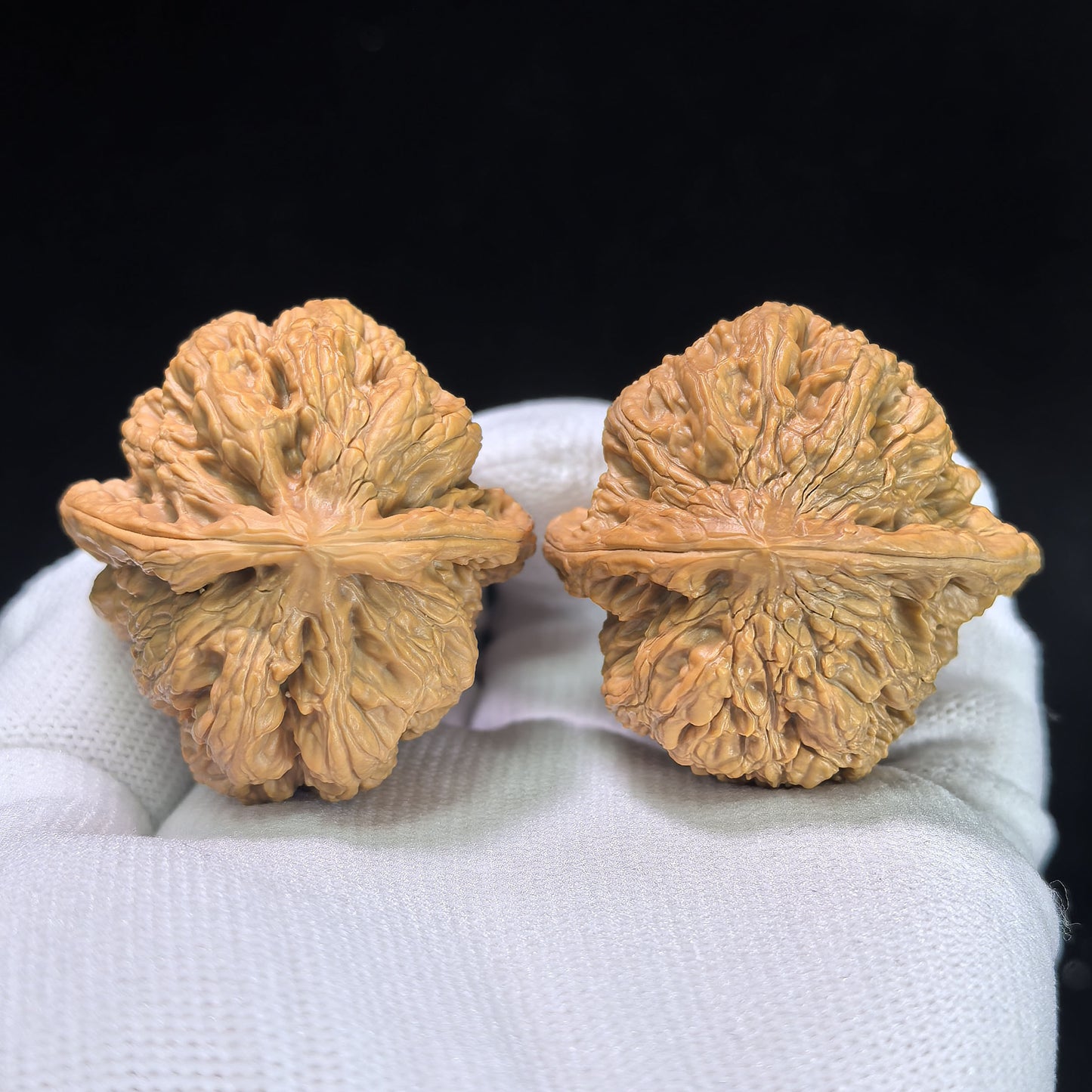 "North China General Shoulder" Huabei Jiangjunbang Wenwan Walnuts (Pair) | 40.0mm x 40.0mm | Stock ID: HBJJB-1104