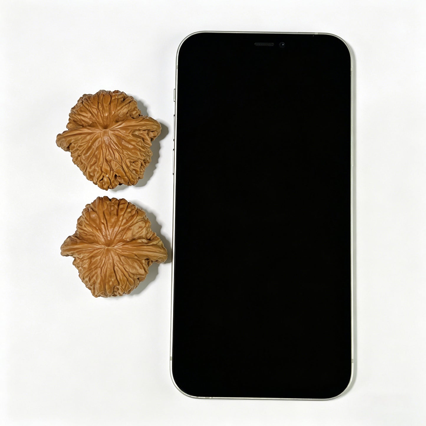 The "Millstone" (Mo Pan) Ergonomic Giant Pair | 41.0mm x 39.0mm | MP-803