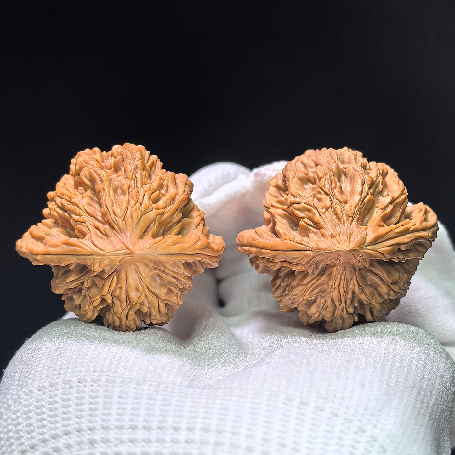 "Wheat Ear Tigerhead" Maisui Hutou MSHT-1402 Low-Profile Wenwan Walnuts Pair | 38.0mm x 36.0mm | MSHT-1402