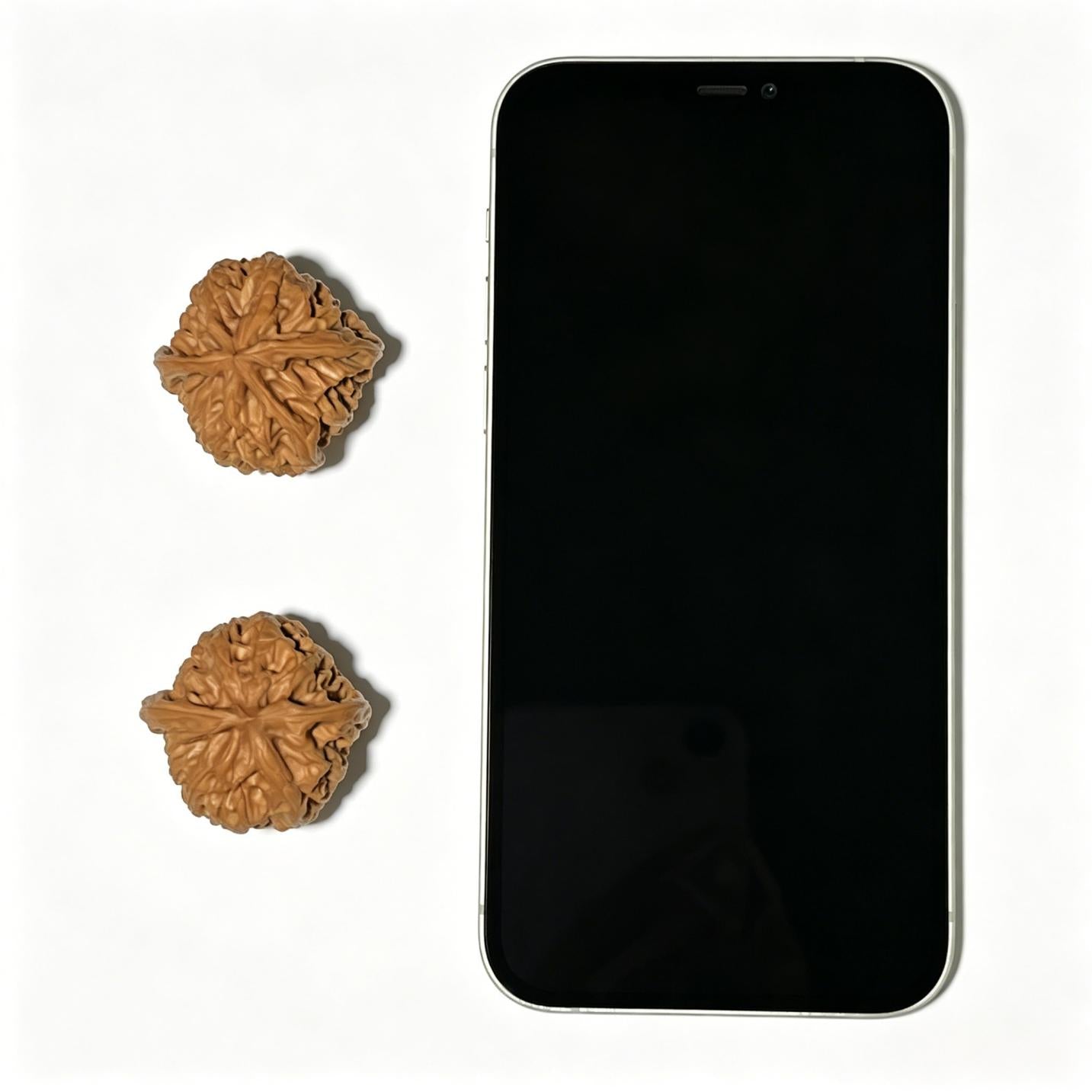 The "Xiayunling" (Xia Yun Ling) Select Miniature Heritage Pair | 33.0mm x 34.0mm | Pocket Shou Nian Format | XYL-1104