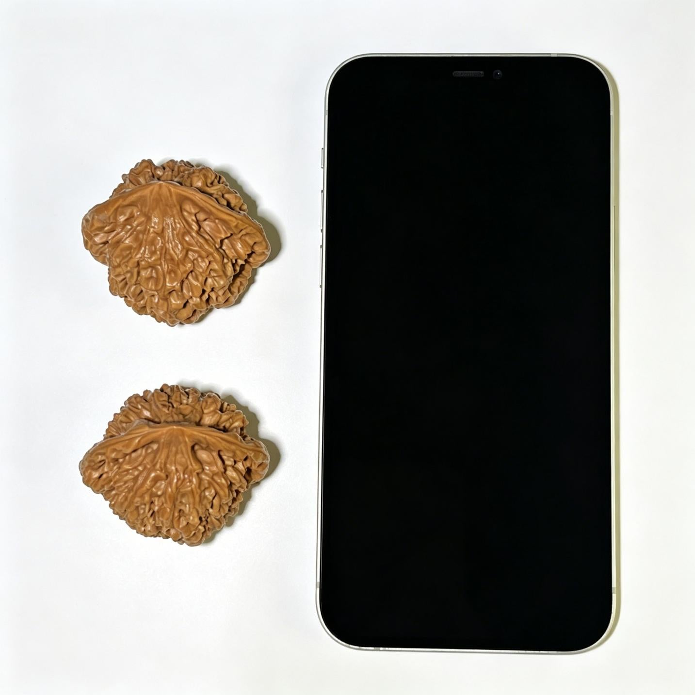 "Official Hat / Magistrate Cap" Guanmao GM-1110 Low-Profile Wenwan Walnuts Pair | 45.0mm x 37.0mm | GM-1110