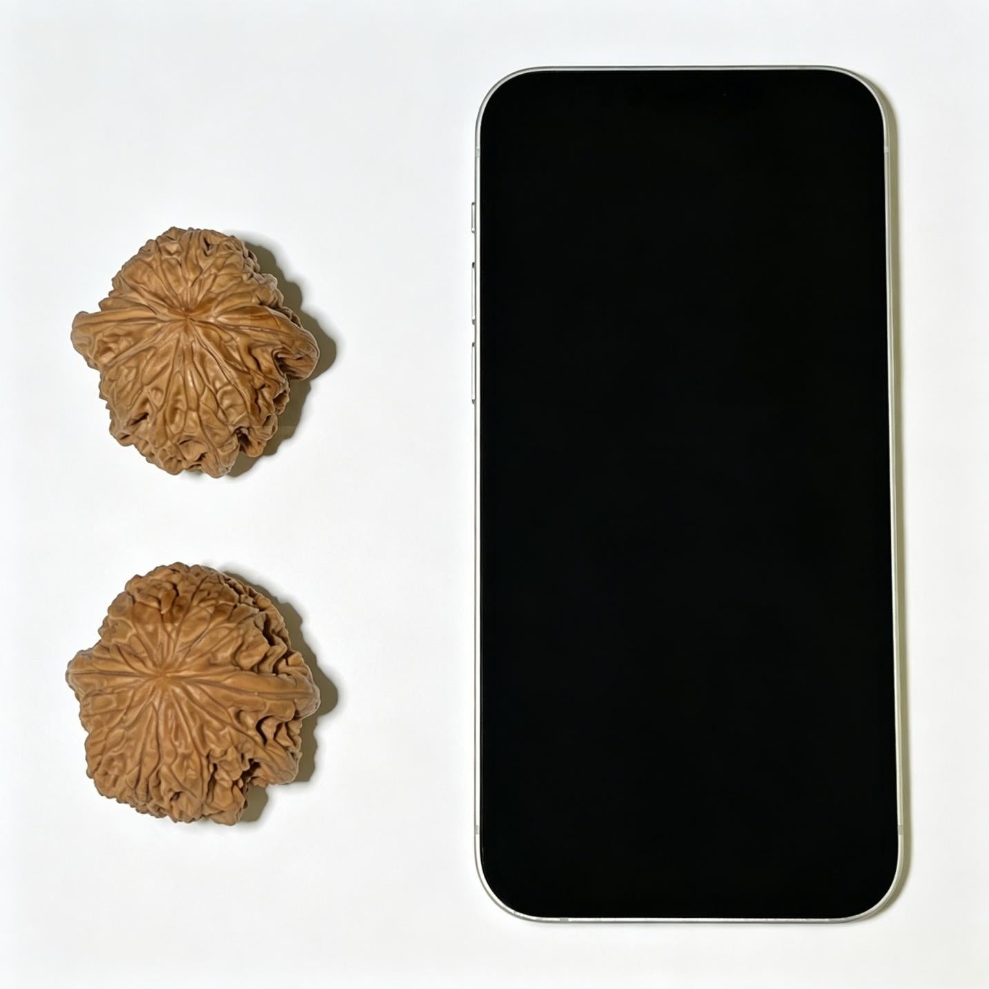 Bao Xue Lion Head (Blizzard Pattern) Scholar Walnuts Pair | 41.0mm x 41.0mm | Stock ID: BX-1102