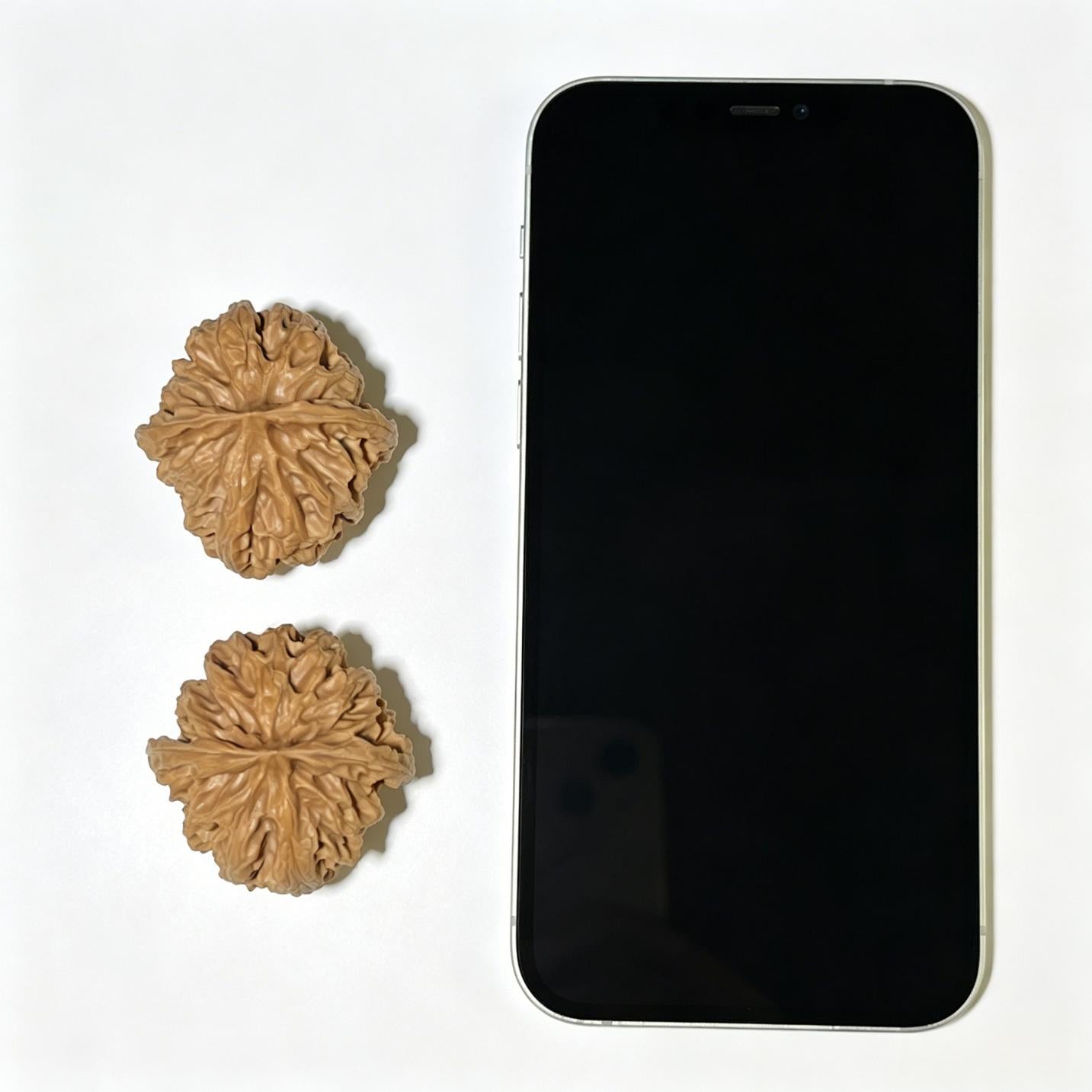 The Exquisite "Concave Base Apple Orchard" Aodi Pingguoyuan Collector Pair | 39.0mm x 40.0mm | ADPGY-1103