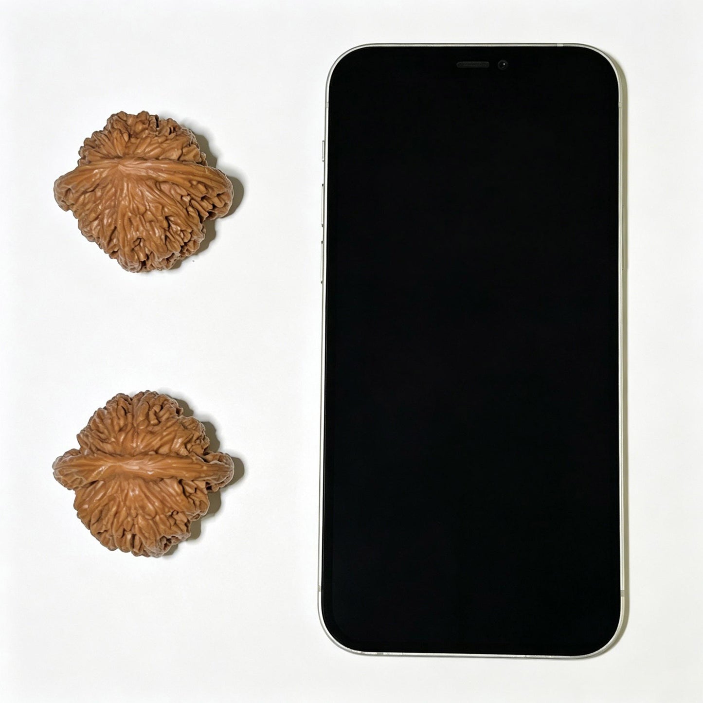 Mai Sui Hu Tou (Wheat Ear Tiger Head) Scholar Walnuts Pair | 41.0mm x 38.0mm | Stock ID: MSHT-1101