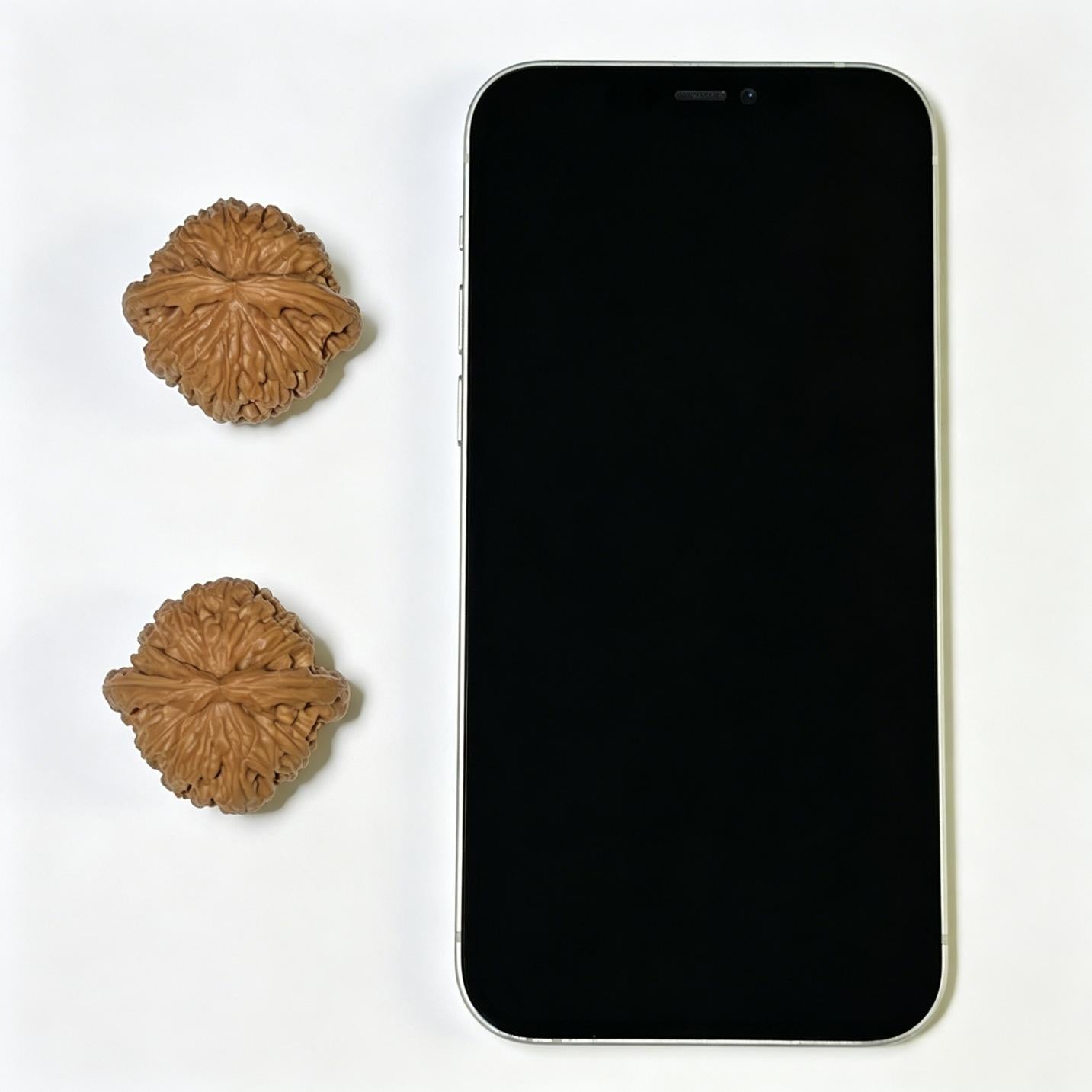 "Concealed Apex White Lion Head" Menjian Bai Shishi Wenwan Walnuts Pair | 35.0mm x 34.0mm | MJBSZ-1101