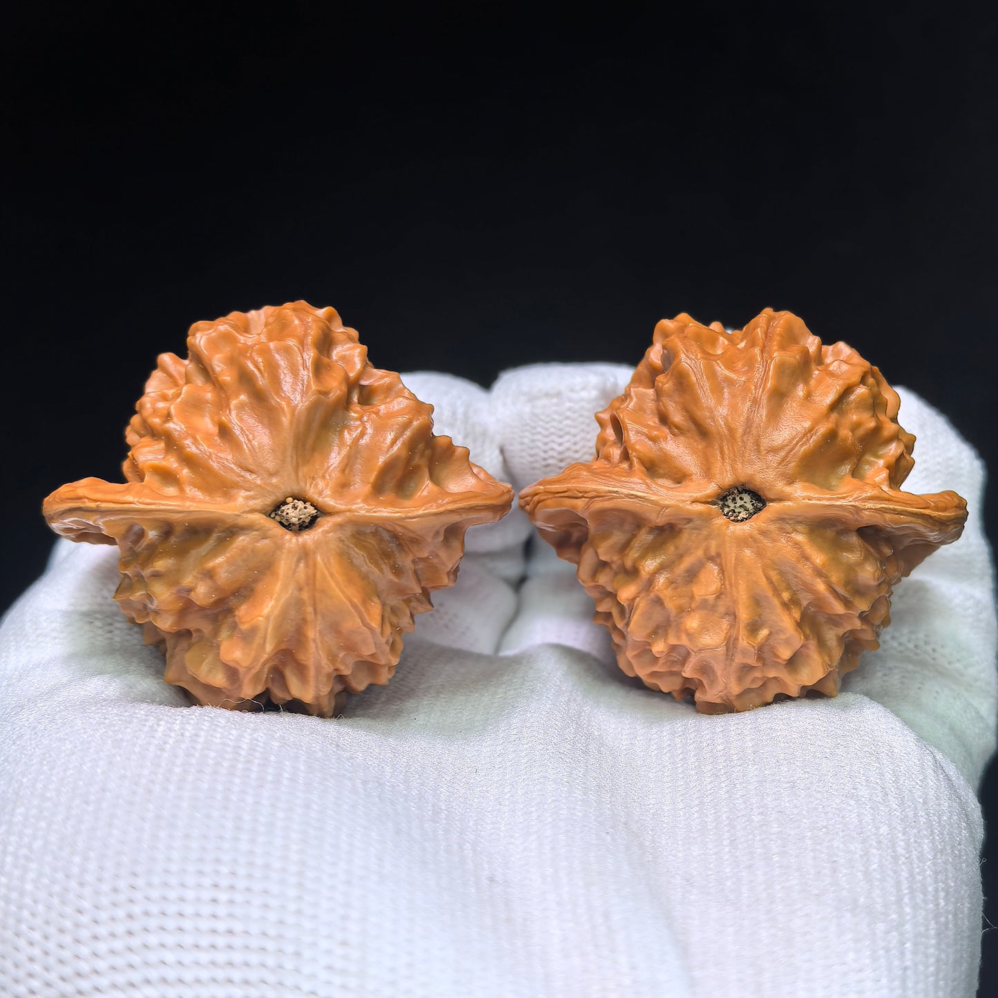 The "Heart-Profile Porcelain Doll" (Ci Wa Wa) Premium Low-Profile Pair | 43.0mm x 40.0mm | BB-Size Standard | CWW-1301C