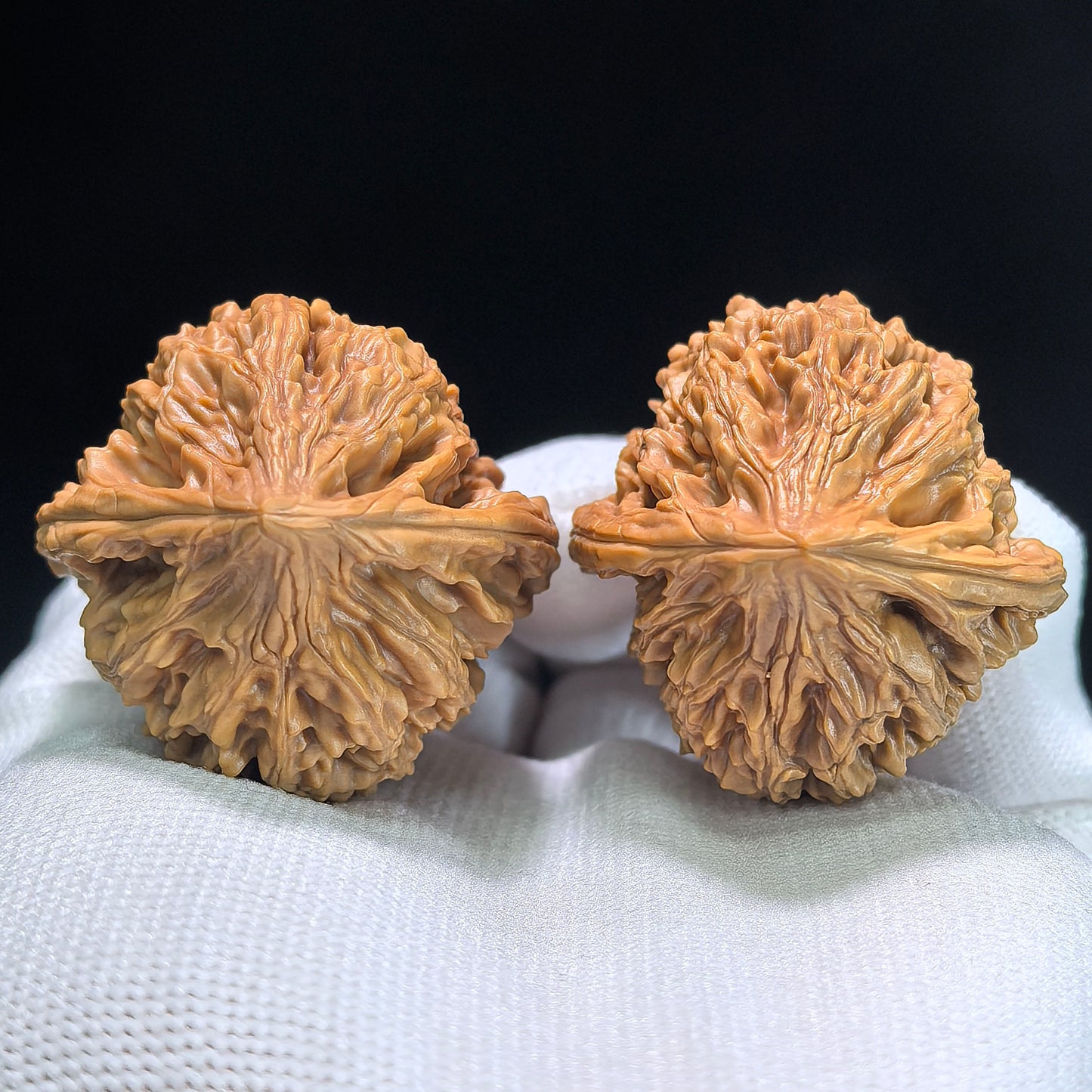 The "Chicken Heart" (Ji Xin) Pair | 39.0mm x 38.0mm | JX-512